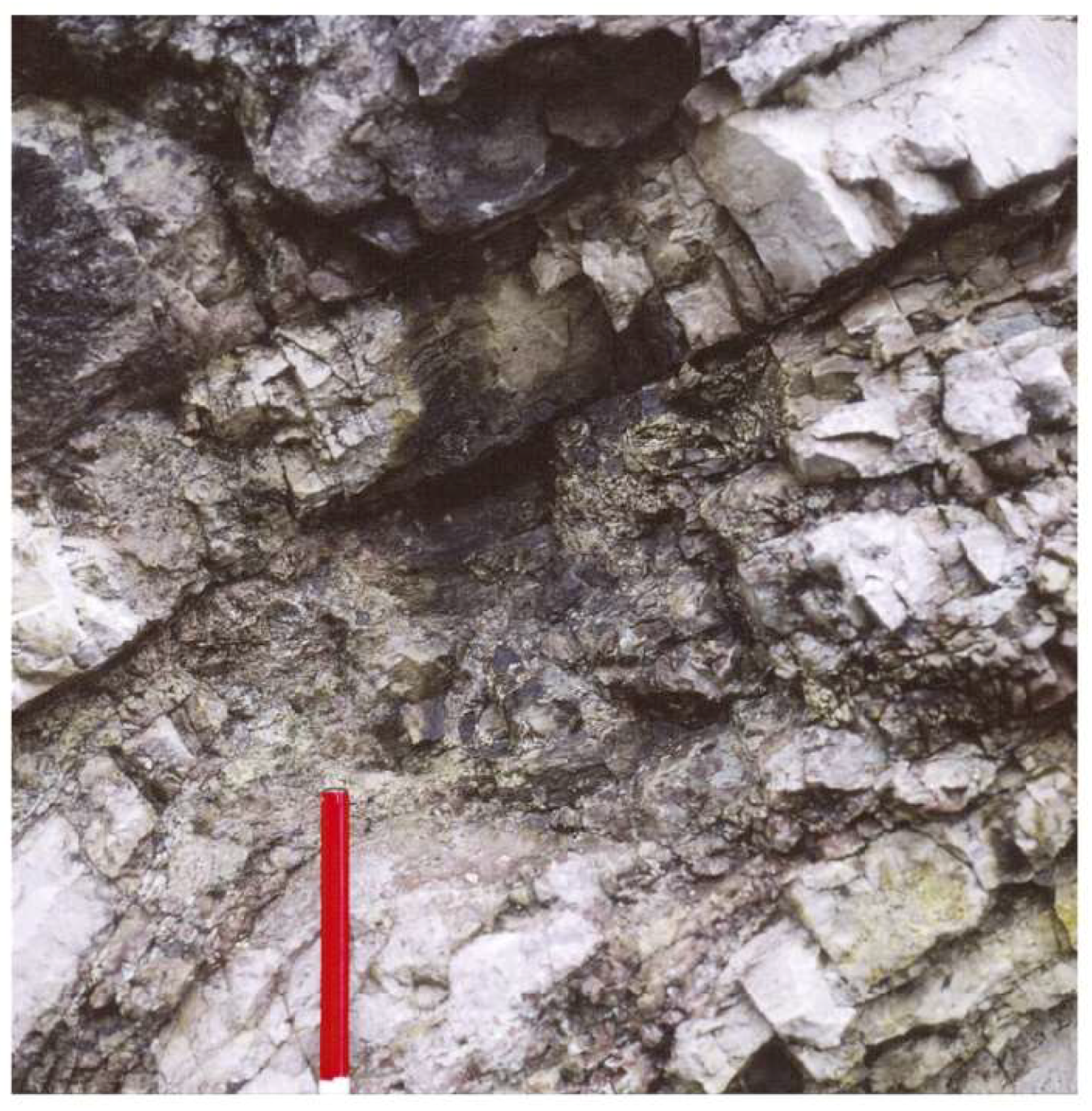 Geosciences 08 00451 g004 550