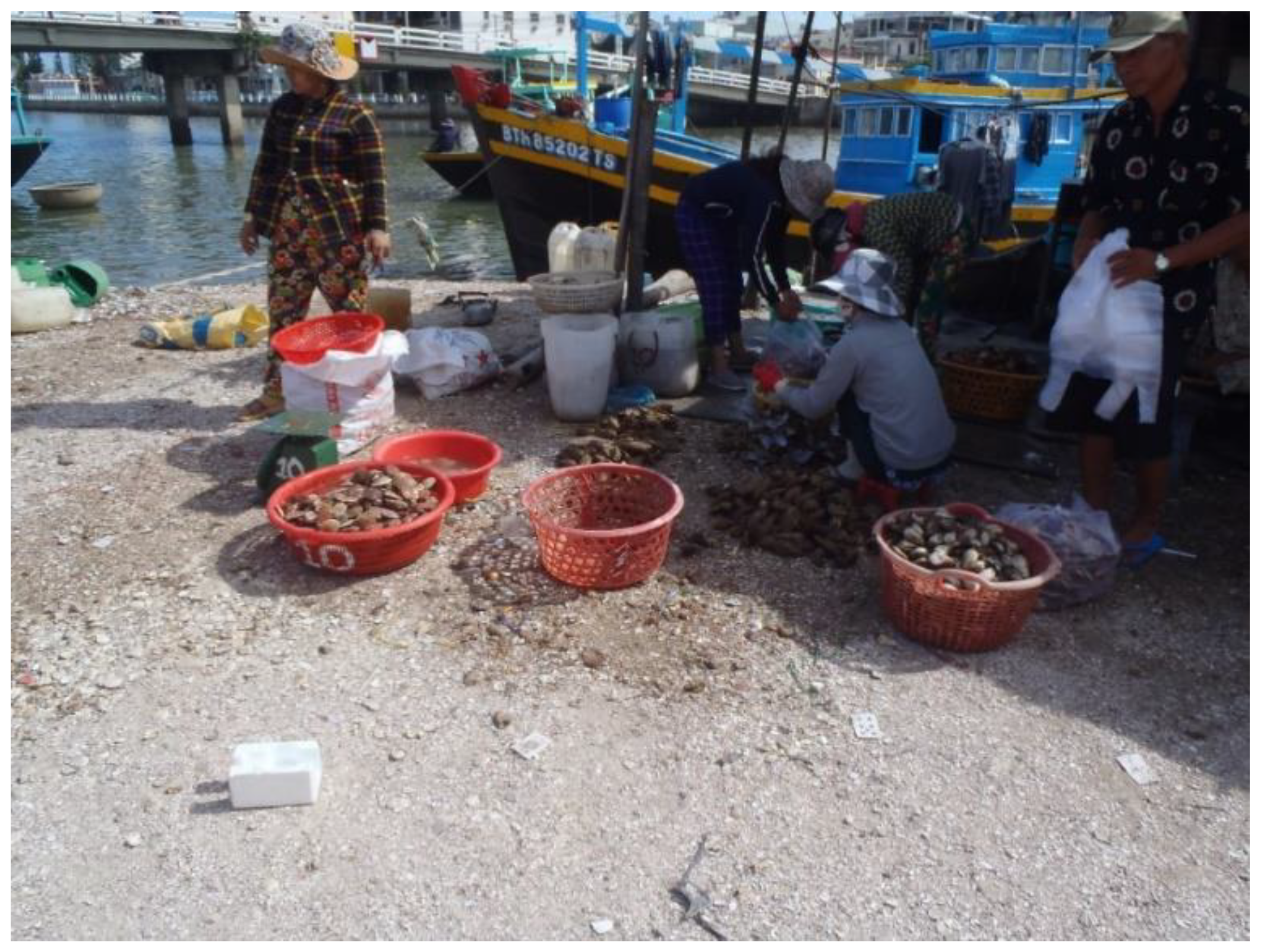 Geosciences 08 00452 g002 Geosciences 08 00452 g002