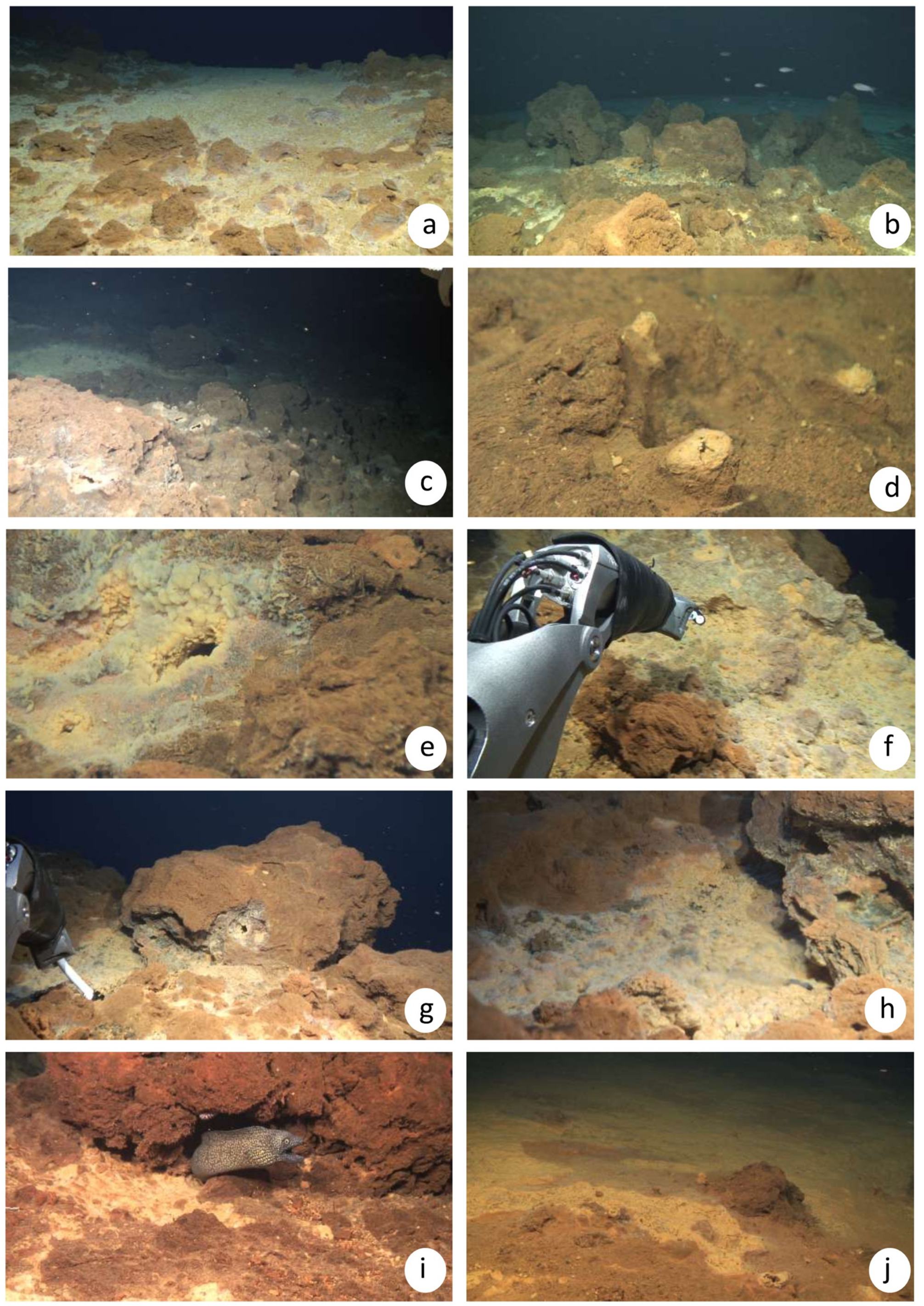 Geosciences 08 00457 g002