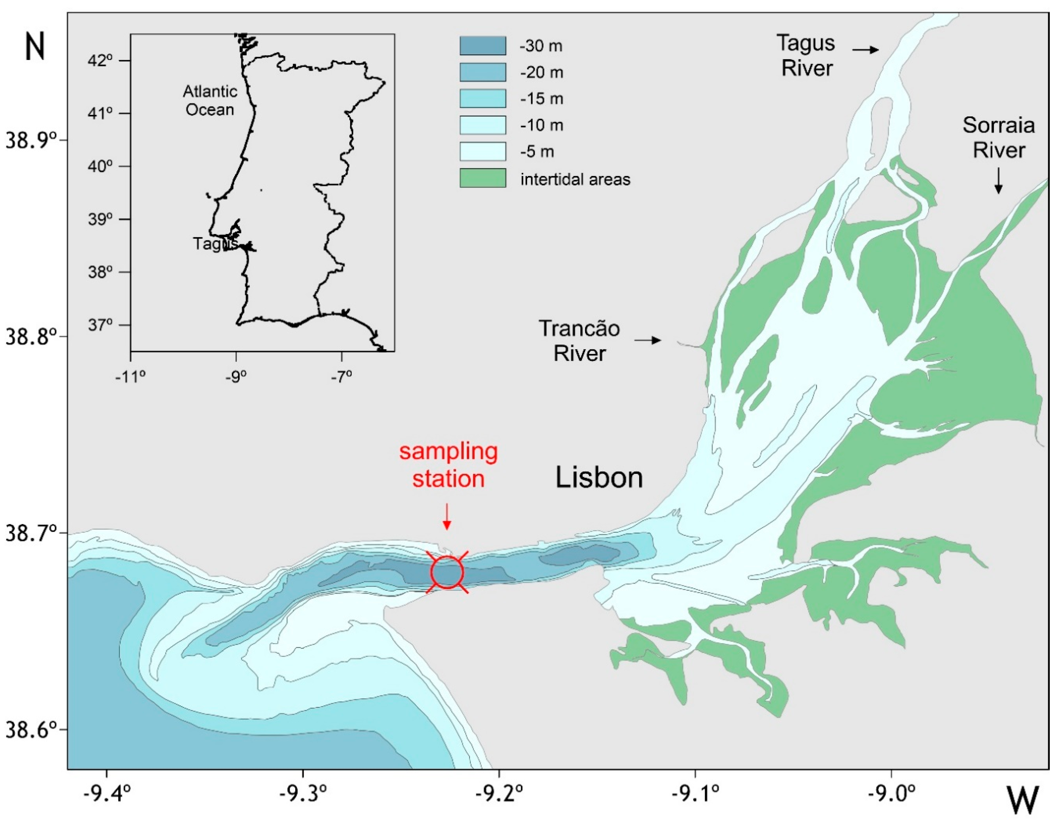 A Kinematic reference frame for estuaries of one dimension