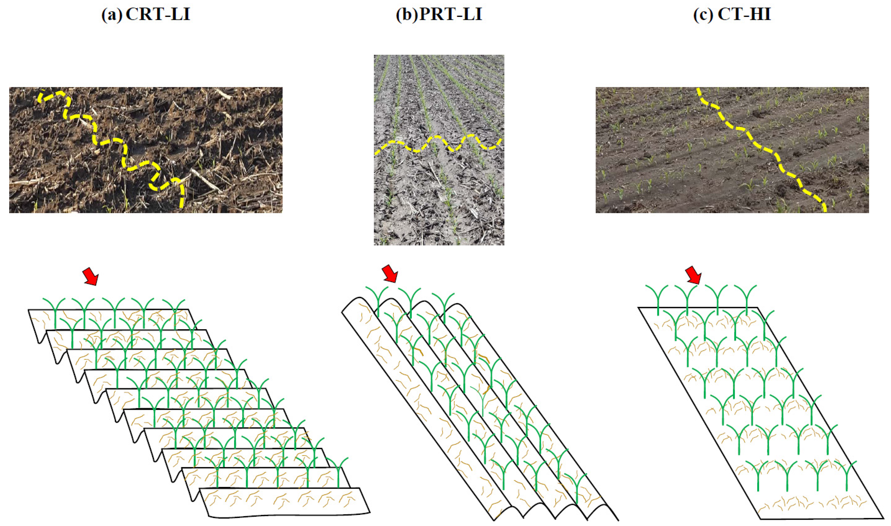 Geosciences 08 00470 g003 Geosciences 08 00470 g003