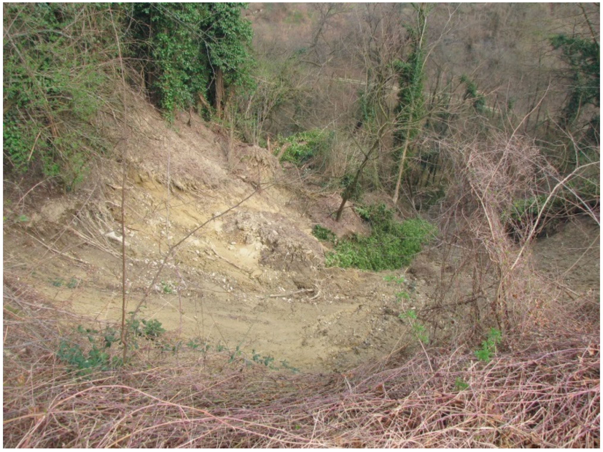 Geosciences 08 00472 g004 Geosciences 08 00472 g004