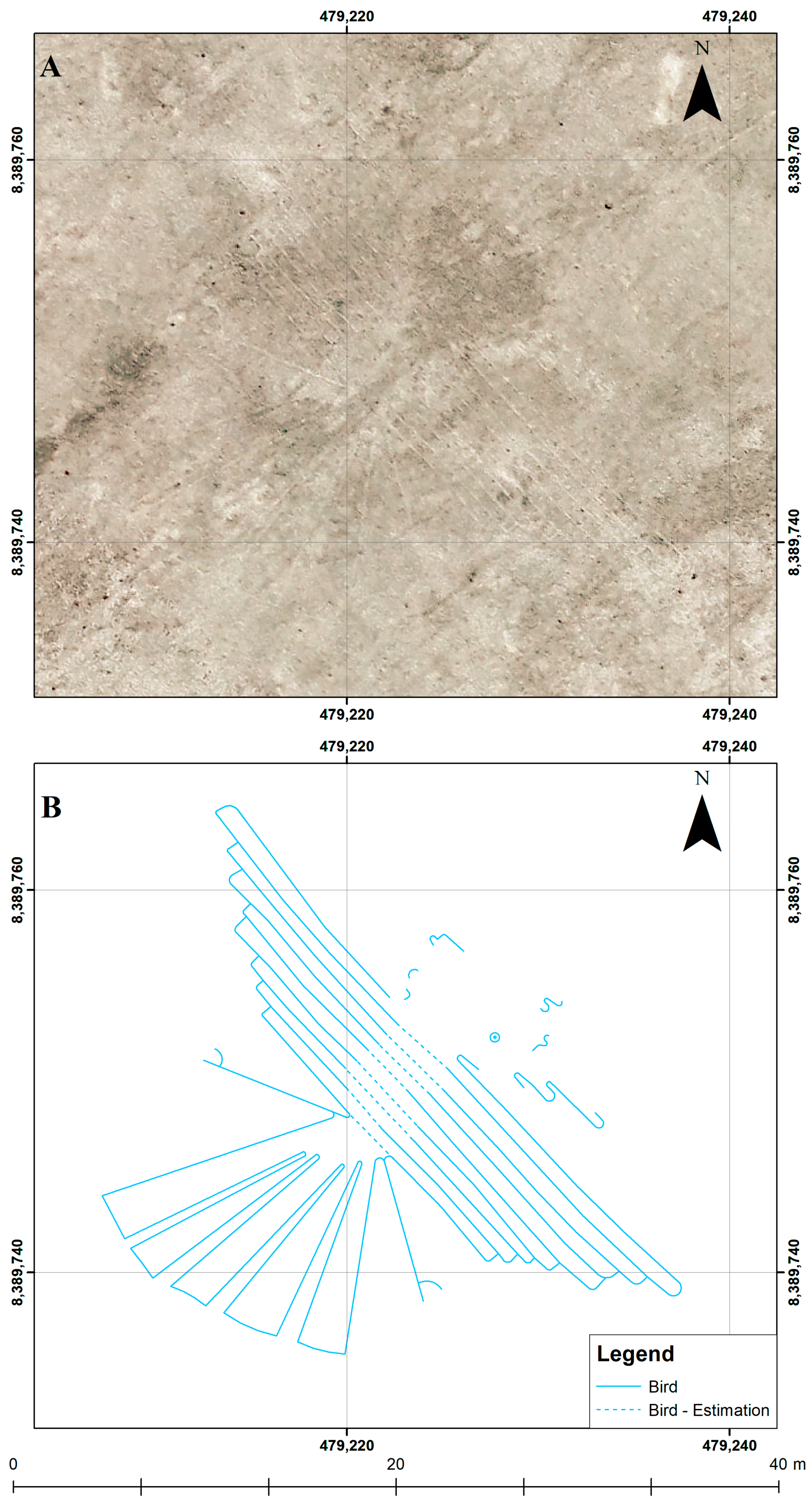 Geosciences 08 00479 g007