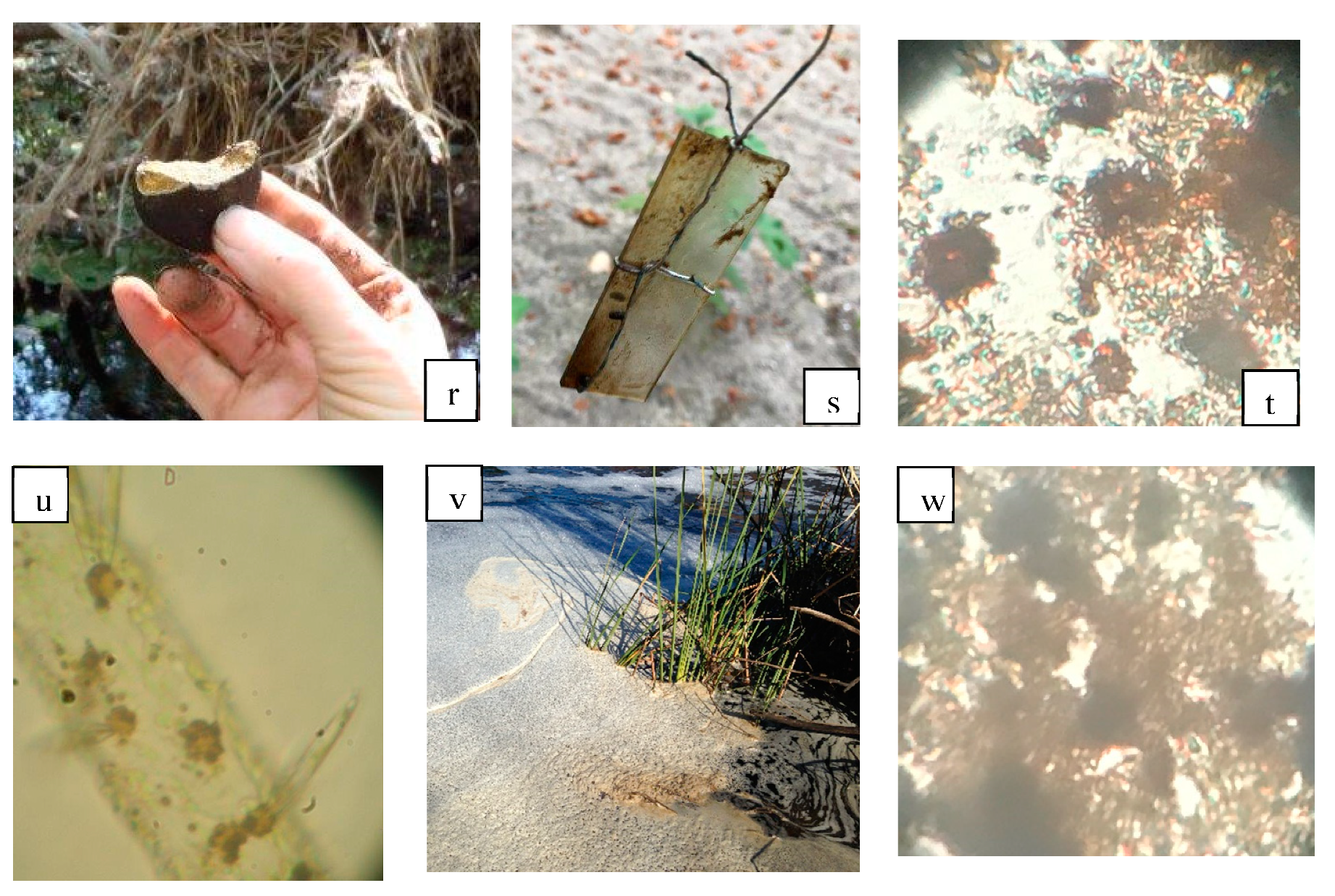 Geosciences 08 00495 g007 Geosciences 08 00495 g007