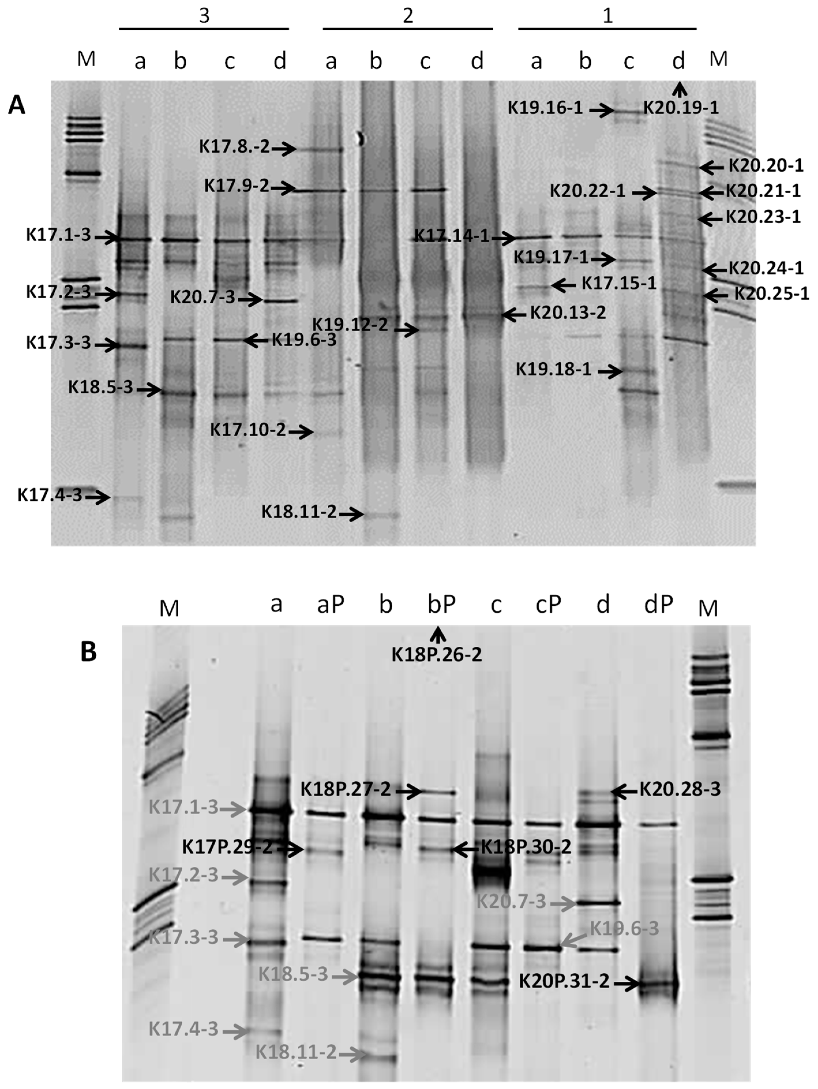 Geosciences 09 00003 g005 Geosciences 09 00003 g005