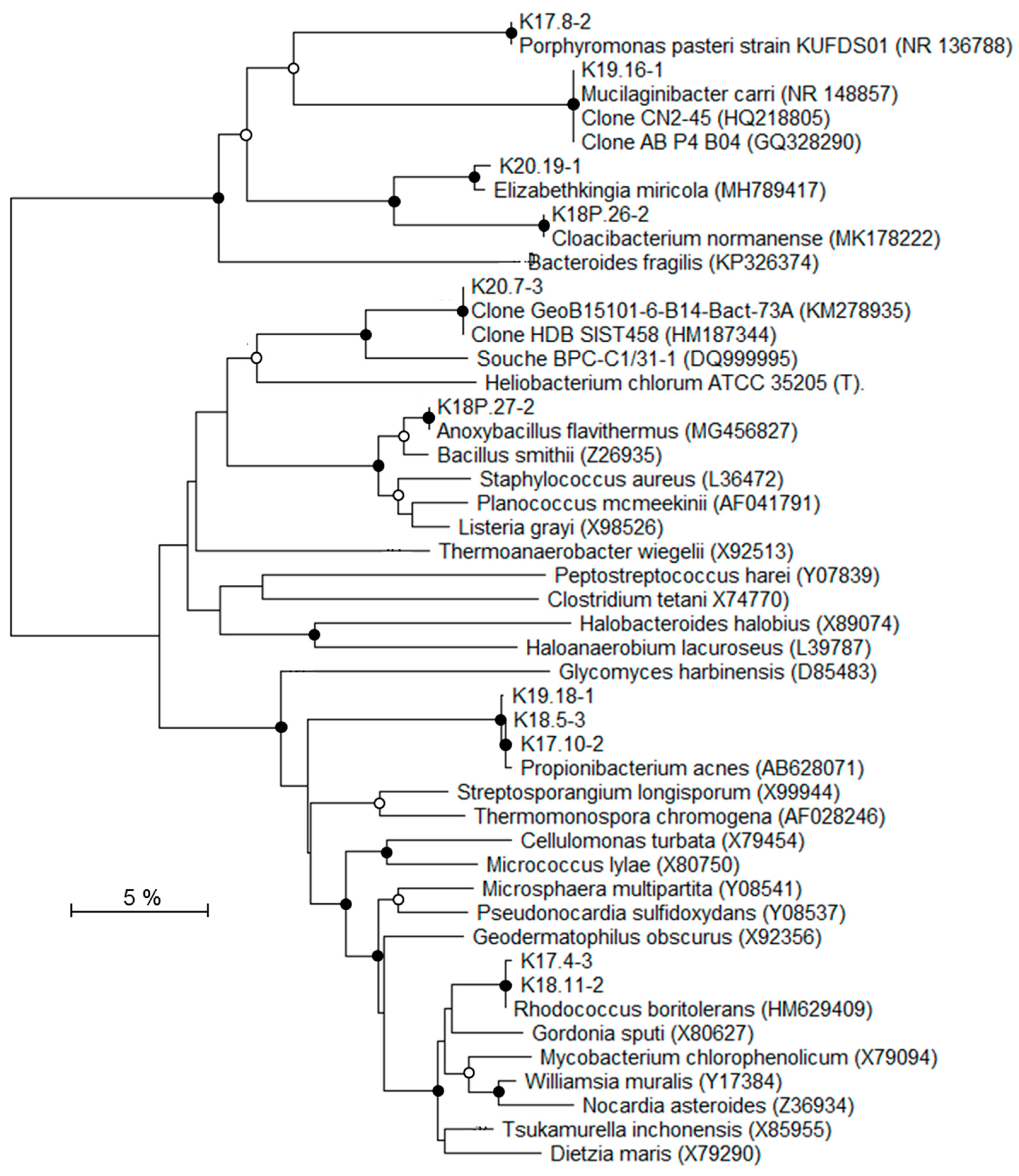 Geosciences 09 00003 g007 Geosciences 09 00003 g007