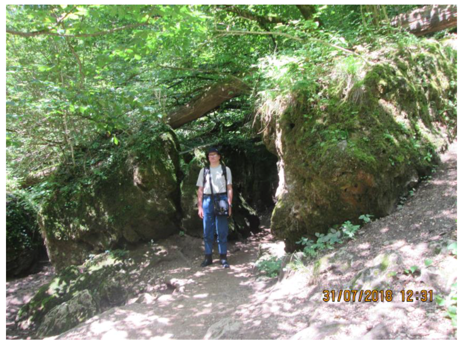 Geosciences 09 00014 g001 Geosciences 09 00014 g001