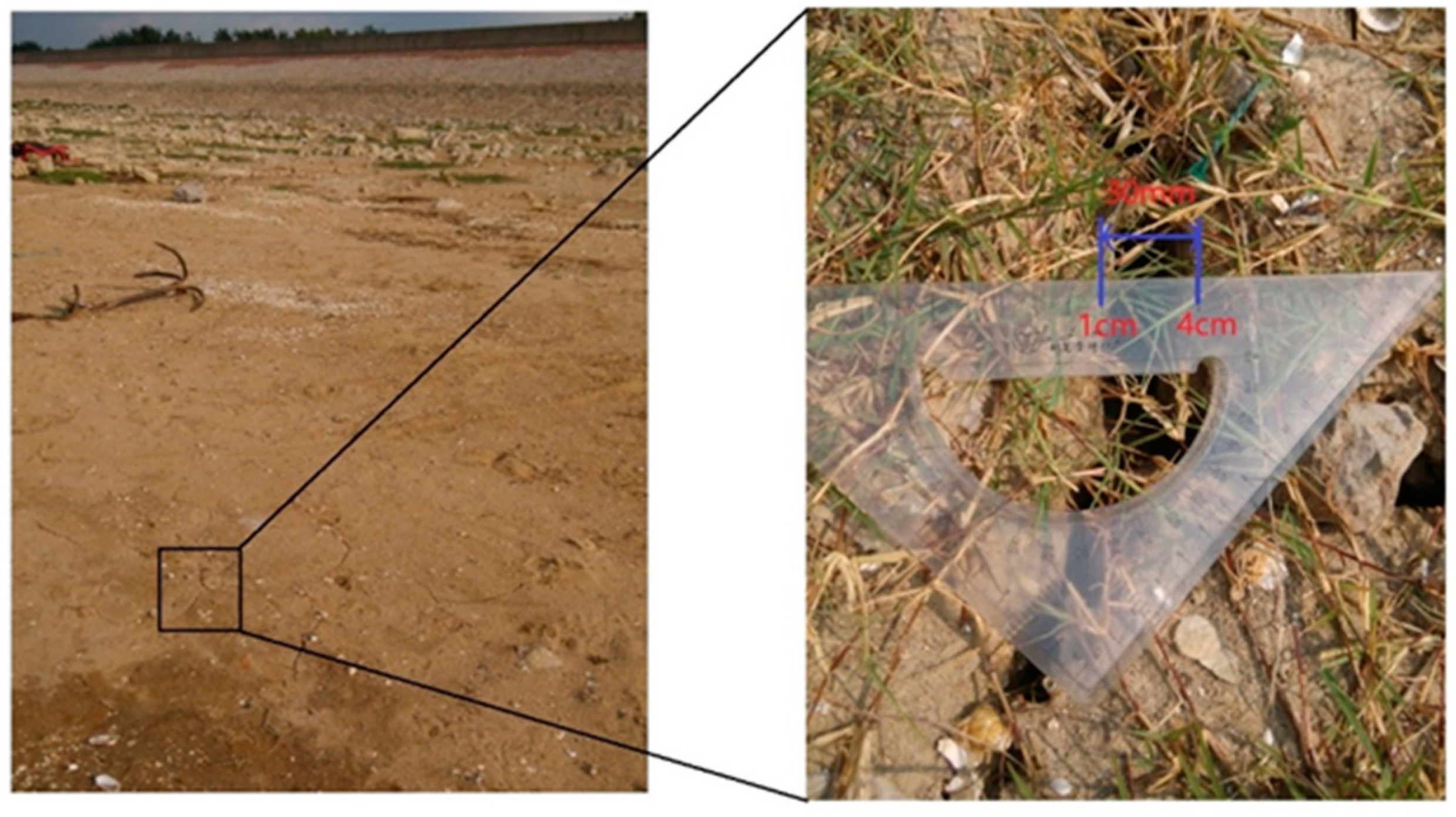 Geosciences 09 00017 g004 550