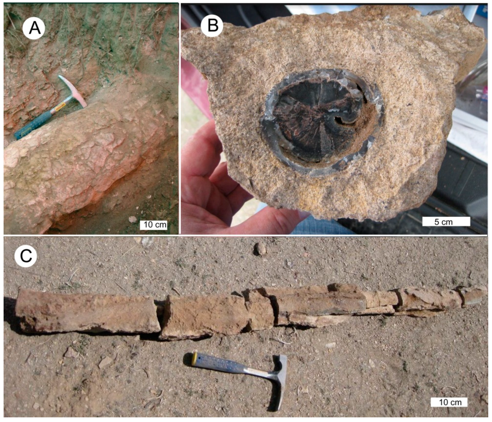 Geosciences 09 00035 g006 Geosciences 09 00035 g006