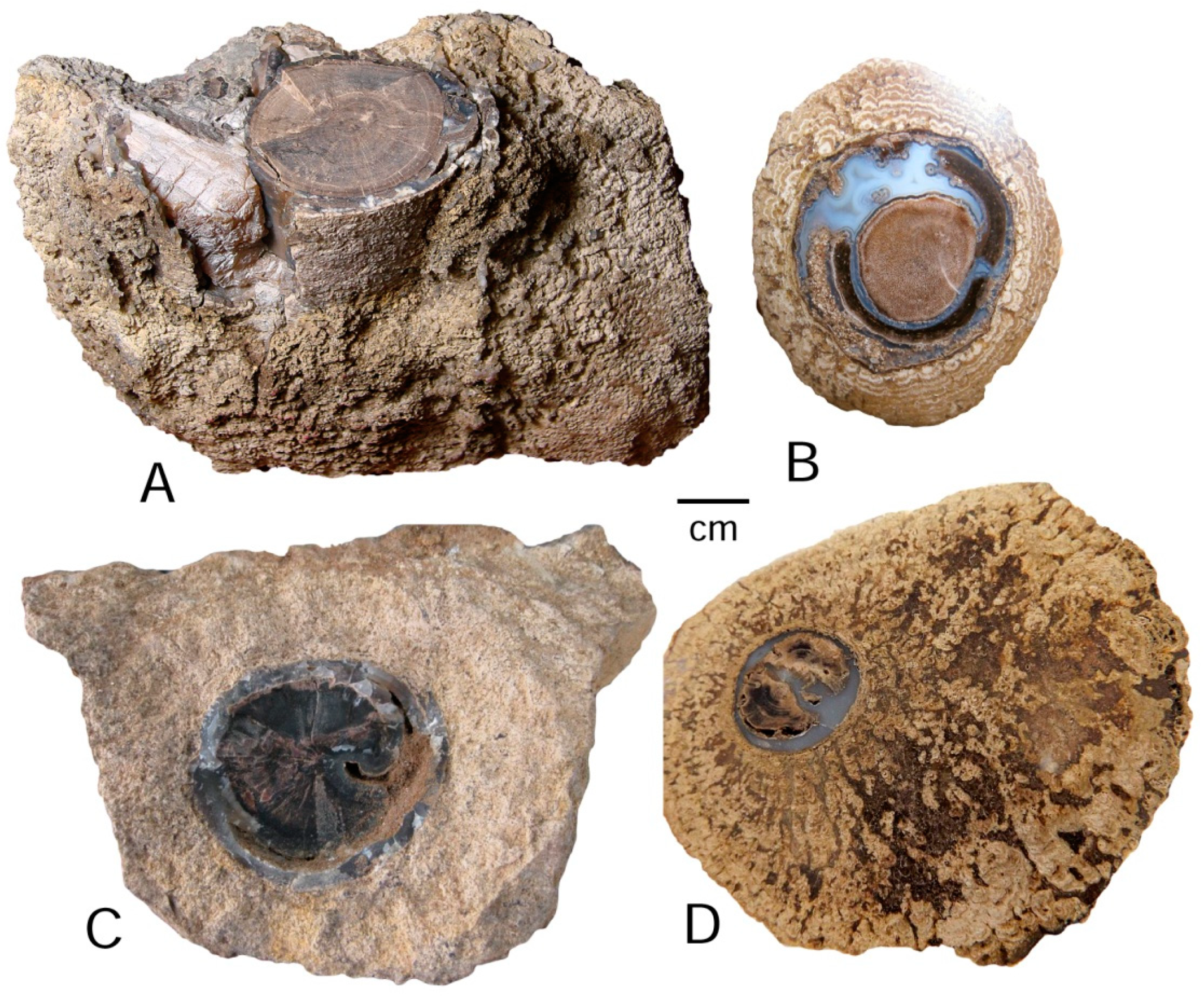 Geosciences 09 00035 g007 Geosciences 09 00035 g007