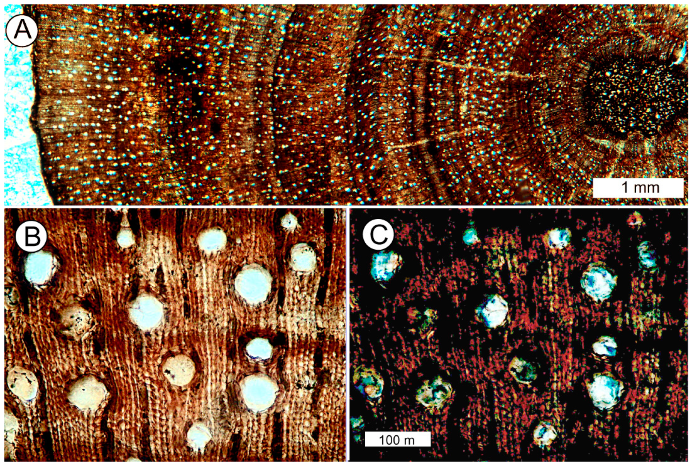 Geosciences 09 00035 g011 Geosciences 09 00035 g011