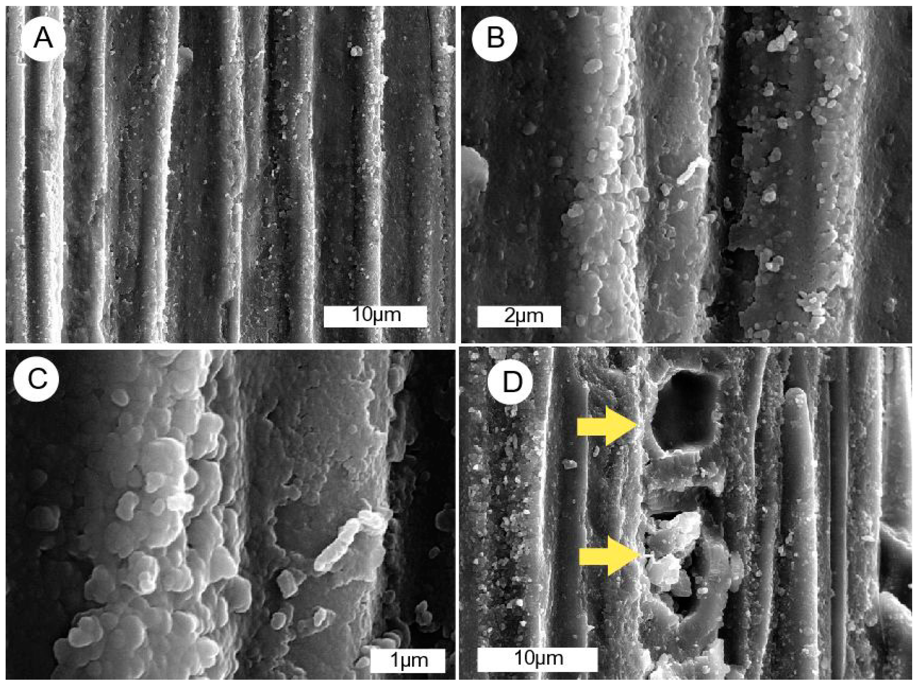 Geosciences 09 00035 g014 Geosciences 09 00035 g014