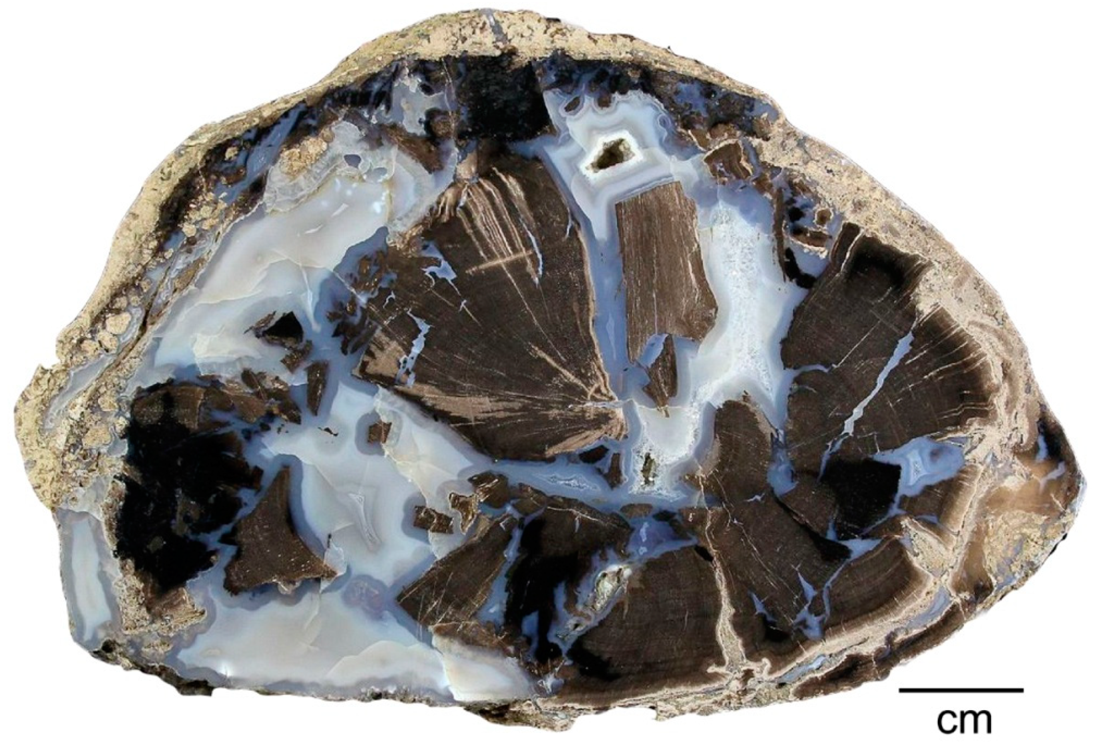 Geosciences 09 00035 g019 Geosciences 09 00035 g019