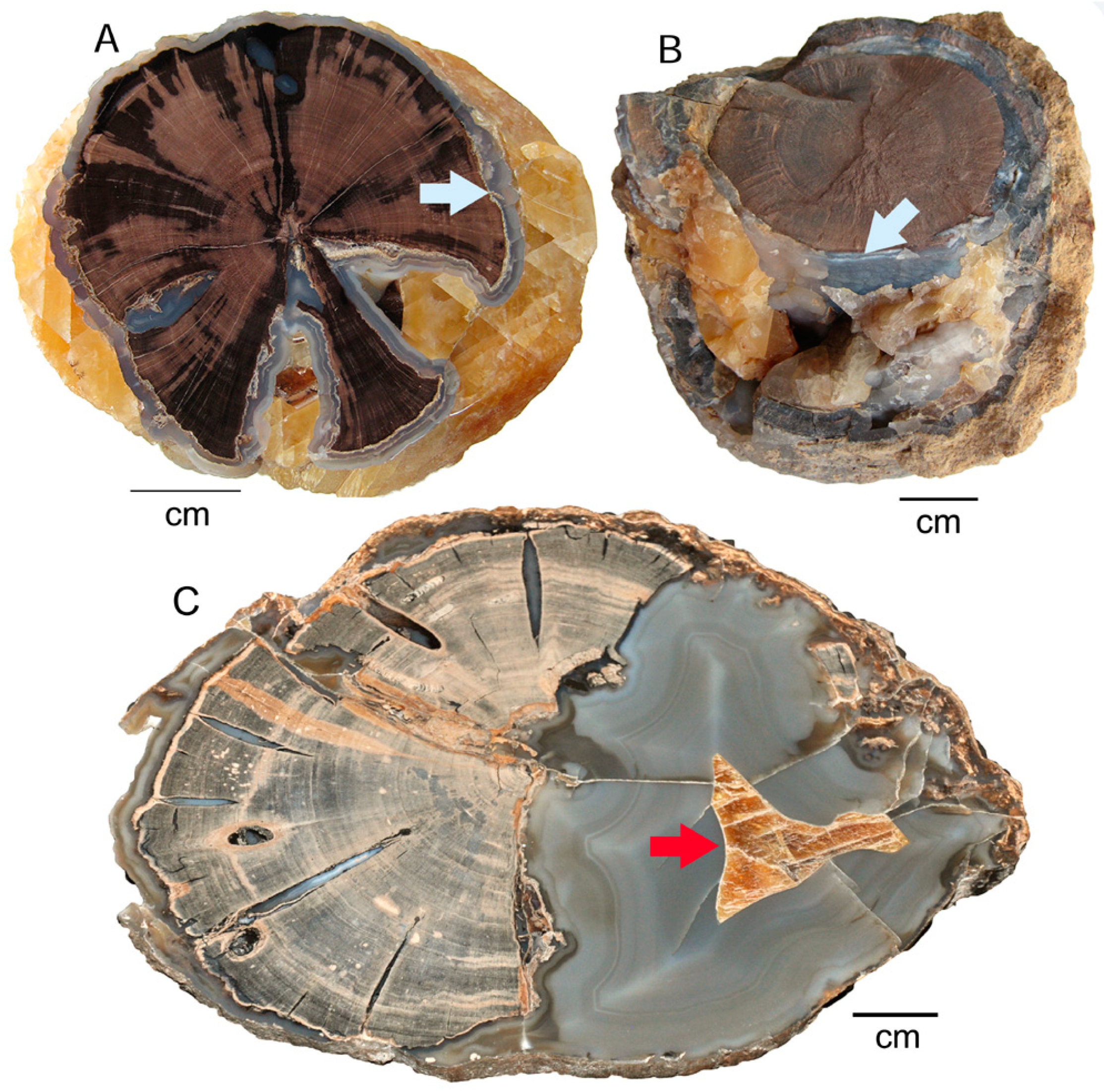 Geosciences 09 00035 g021 Geosciences 09 00035 g021