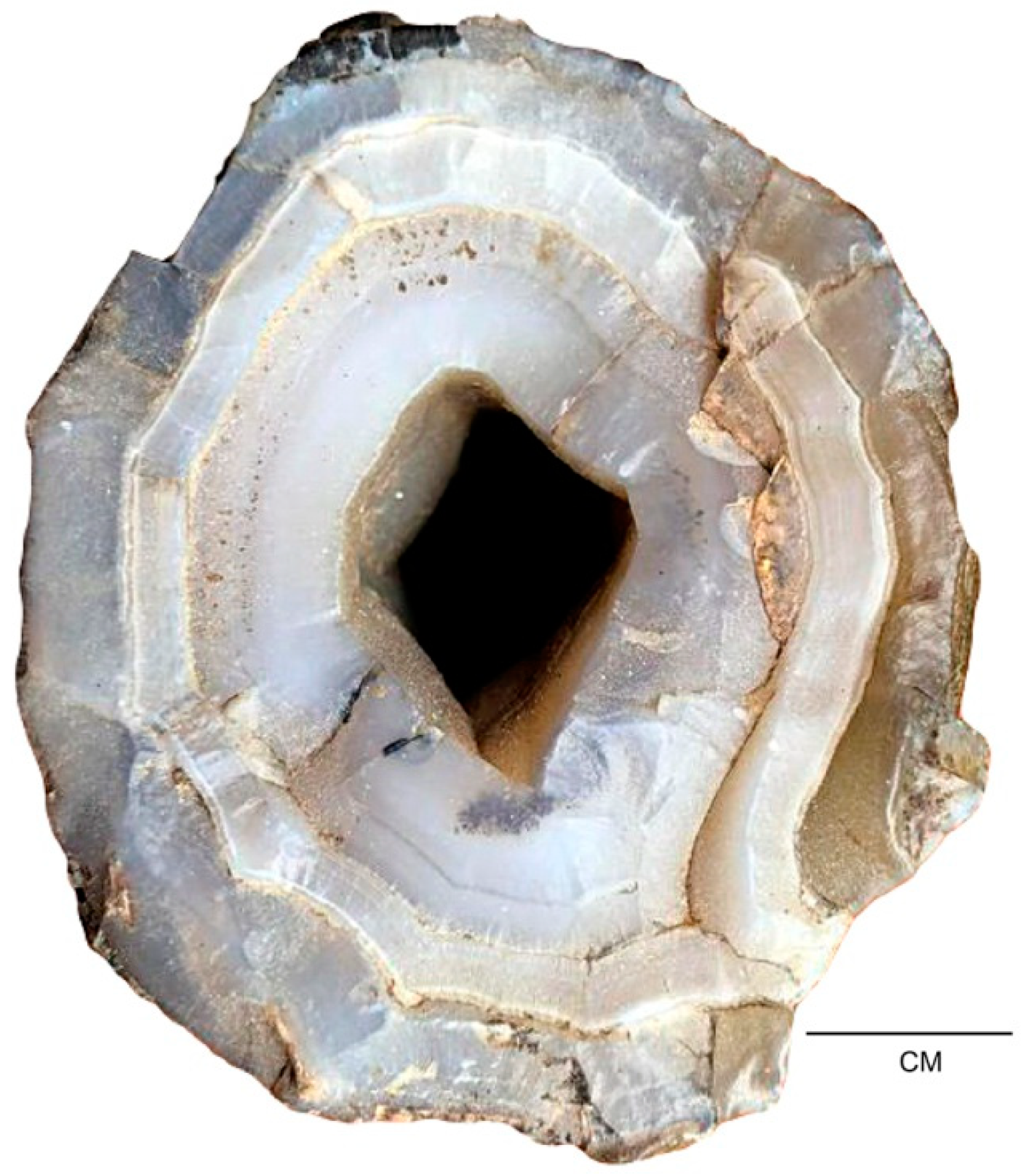 Geosciences 09 00035 g022 Geosciences 09 00035 g022