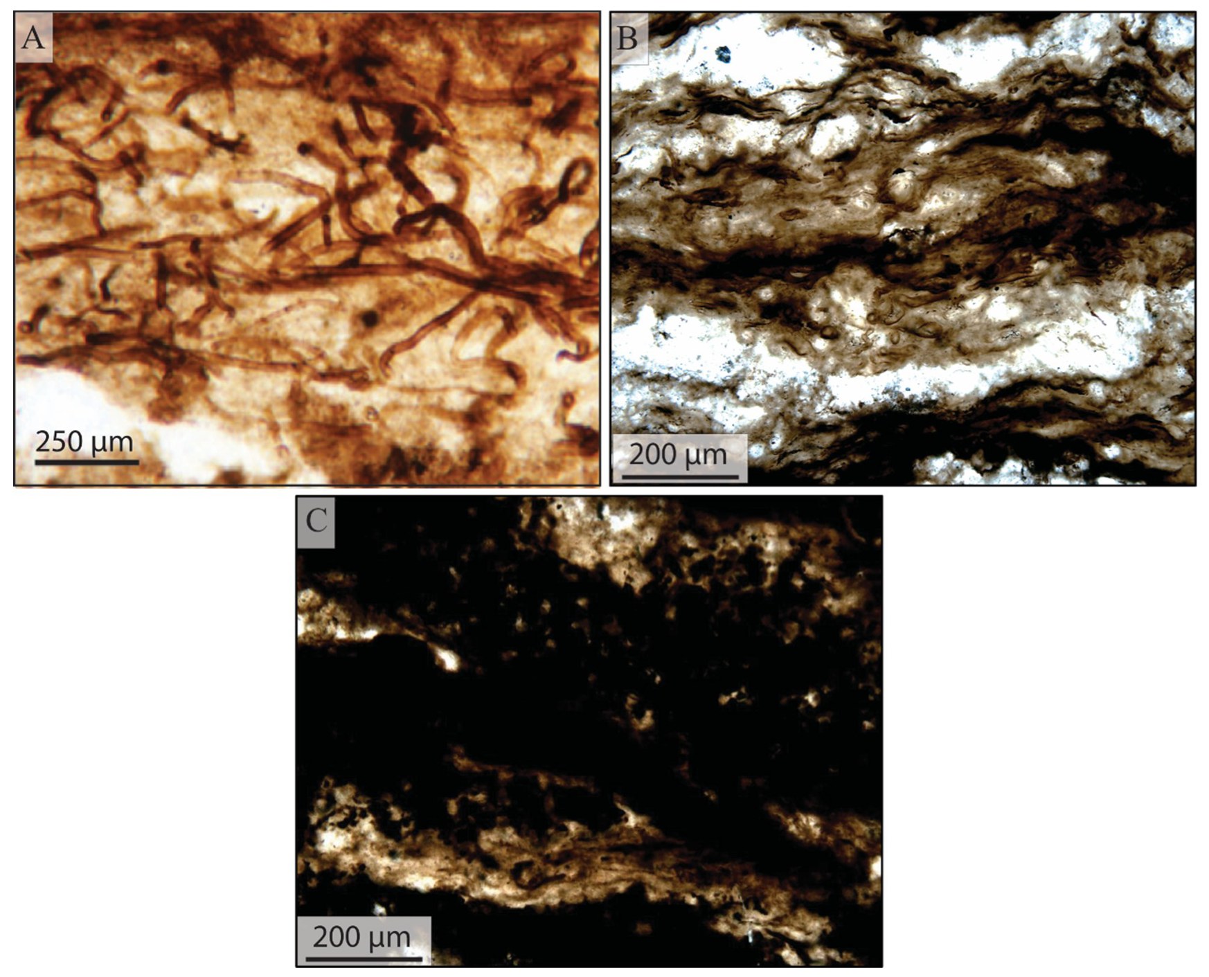 Geosciences 09 00040 g004