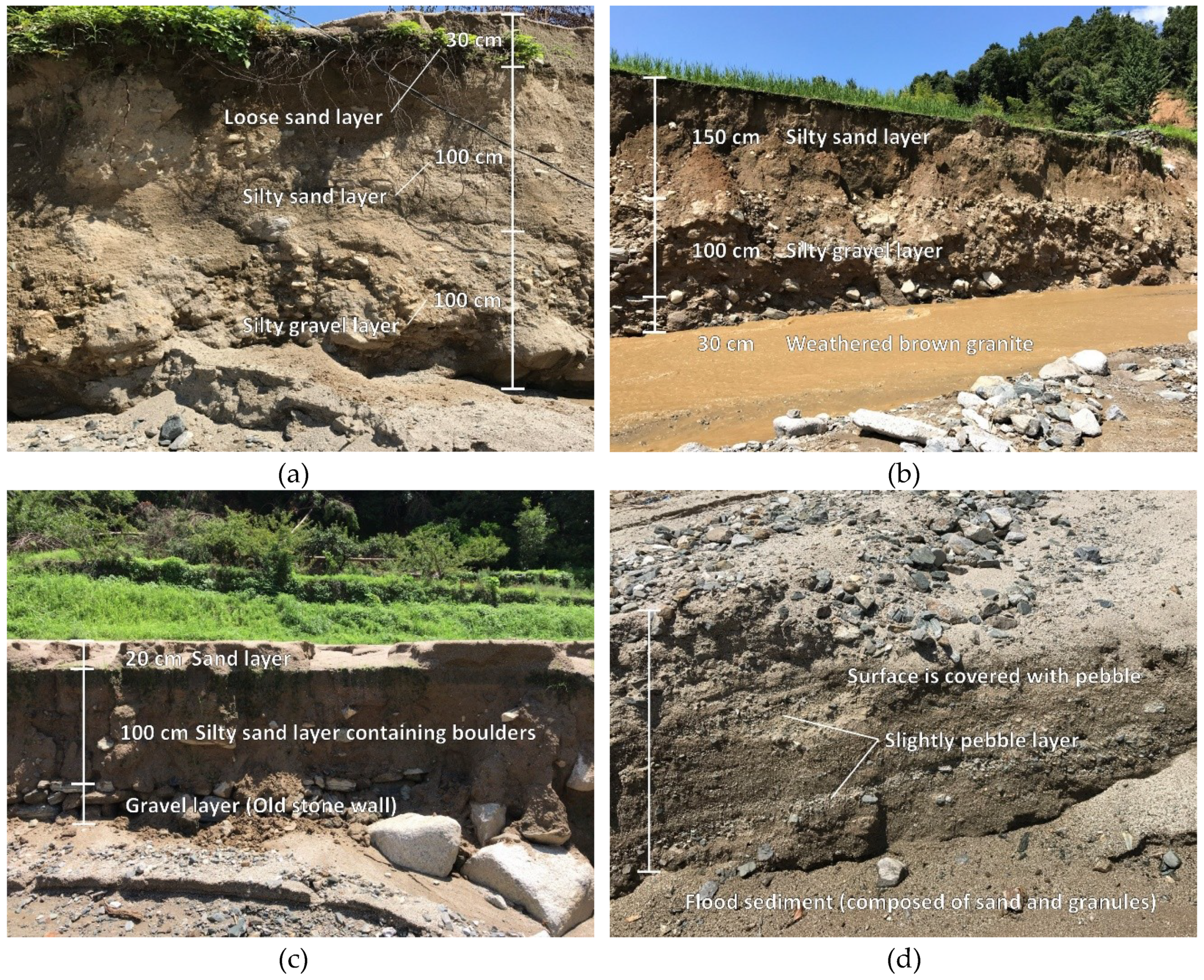 Geosciences 09 00075 g002a 550