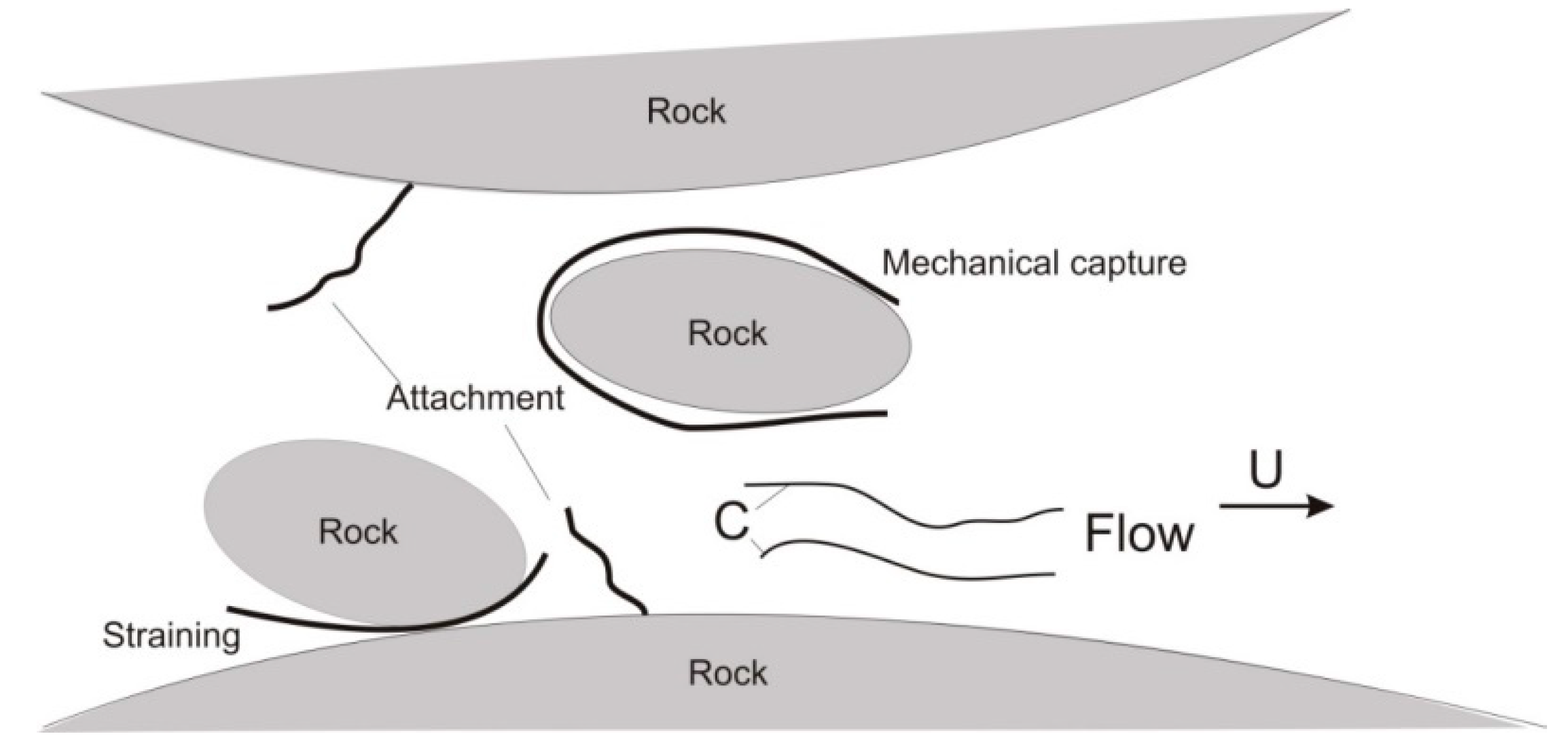 Geosciences 09 00078 g005 Geosciences 09 00078 g005