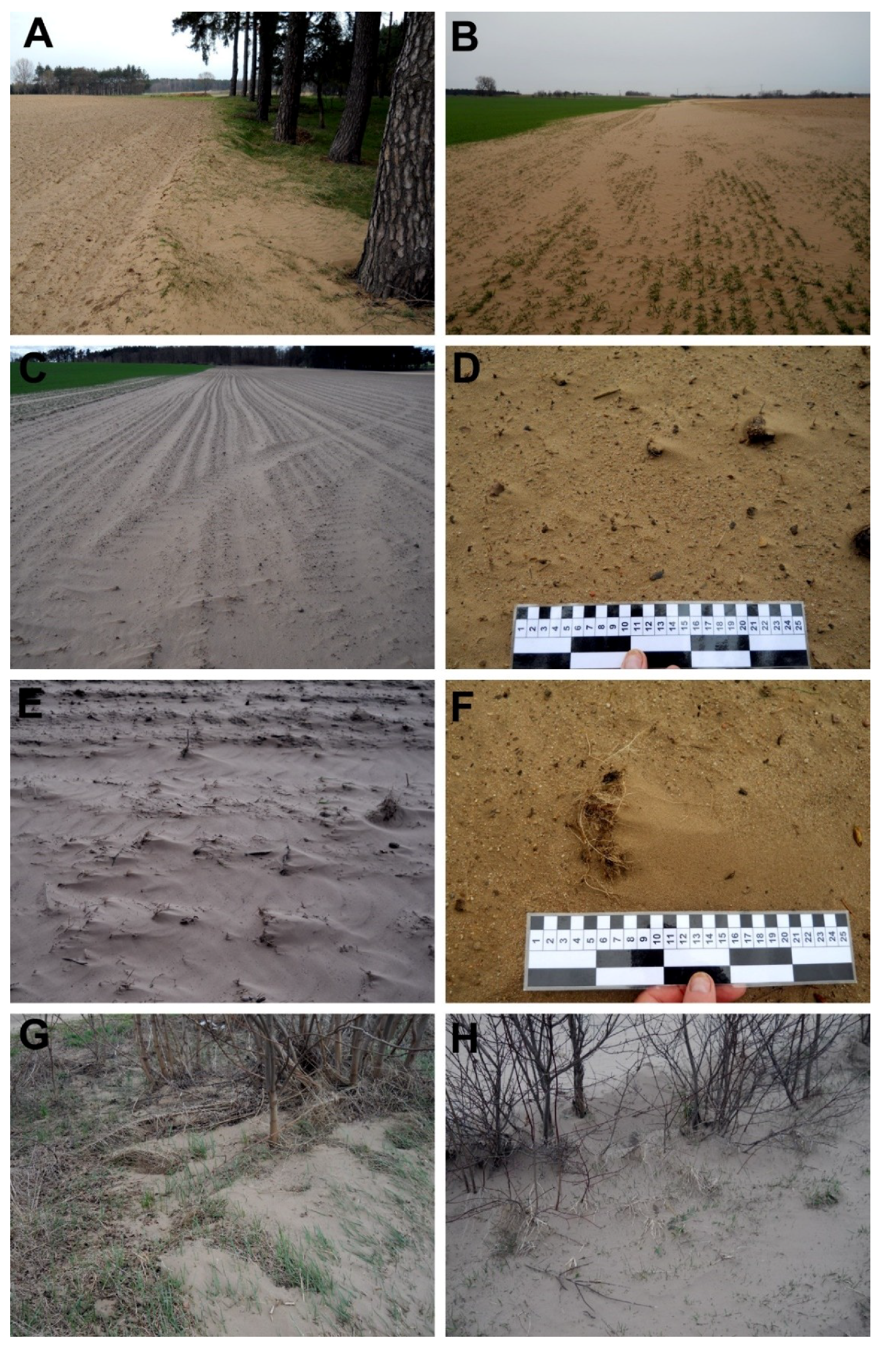 Geosciences 09 00106 g007
