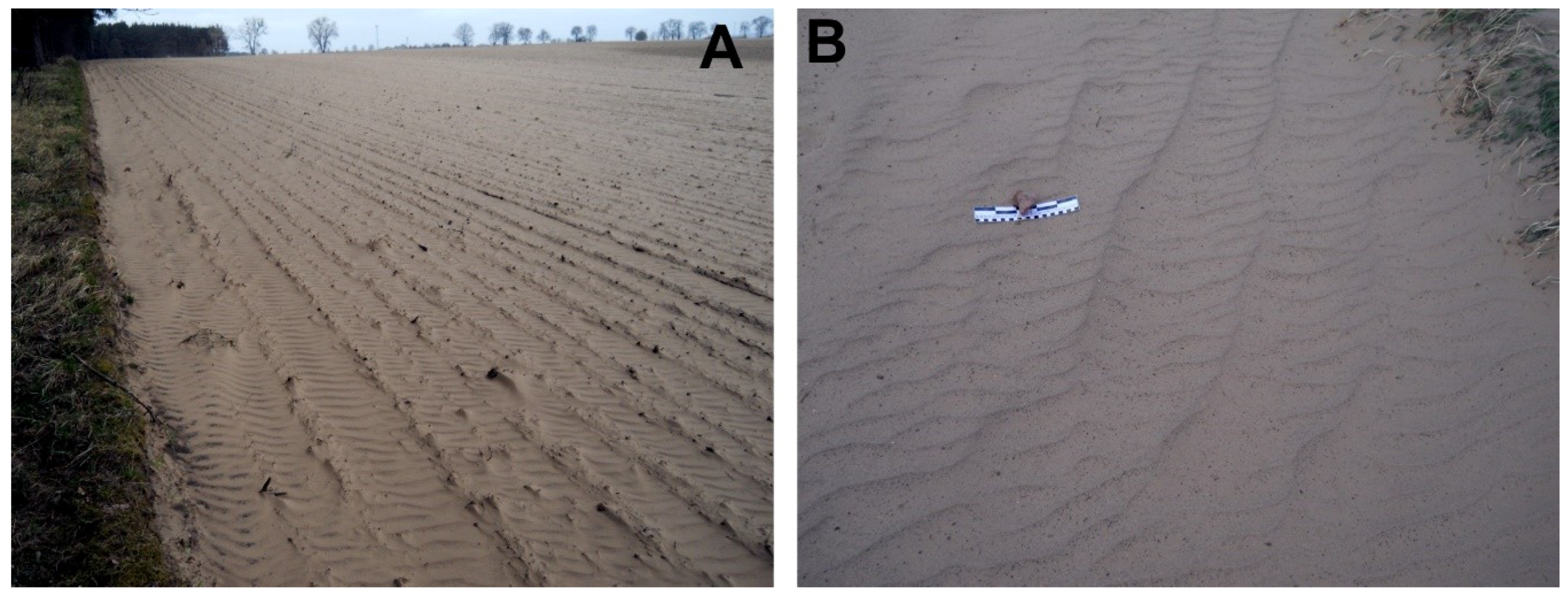 Geosciences 09 00106 g008