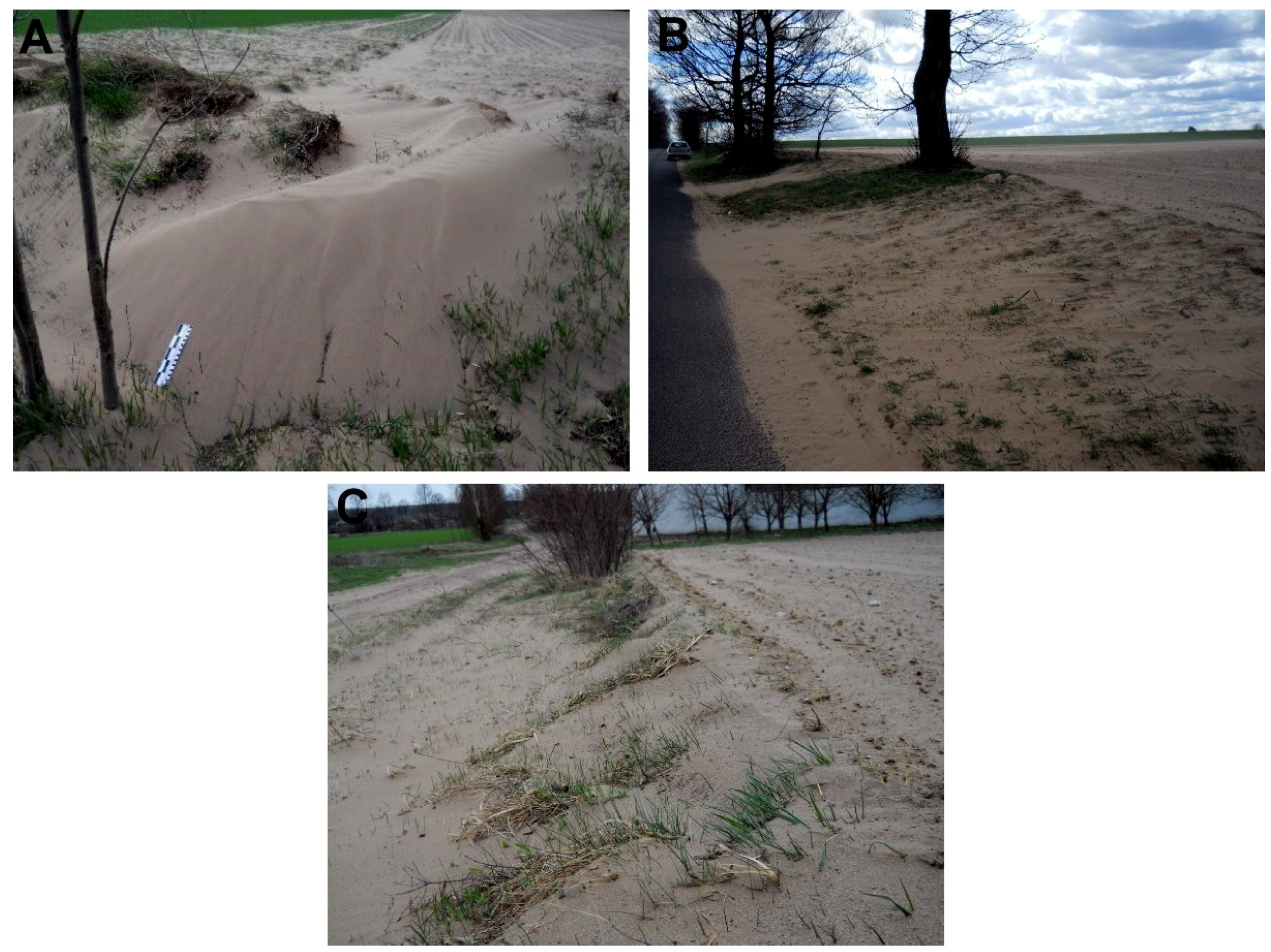 Geosciences 09 00106 g009