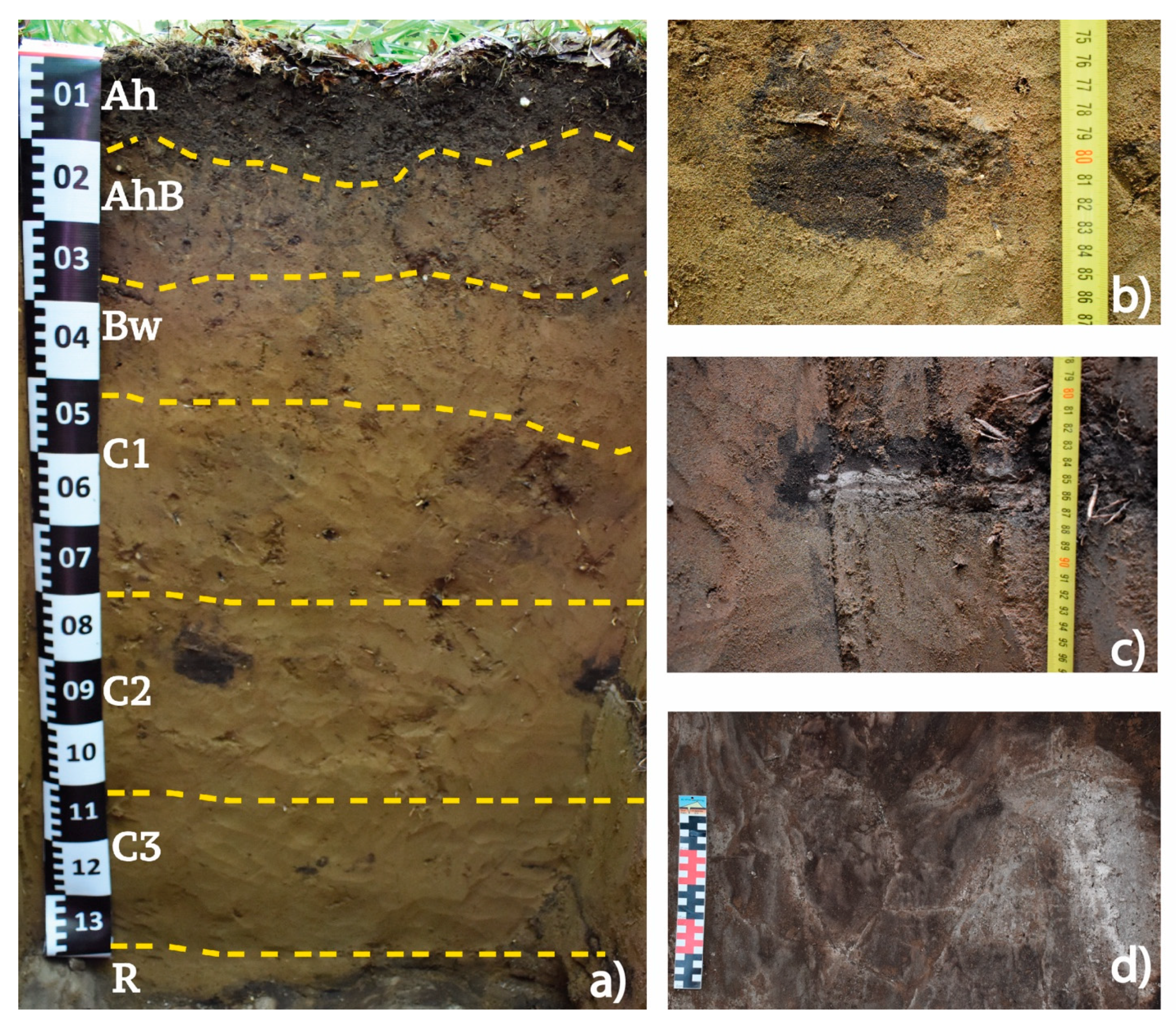 Geosciences 09 00111 g003