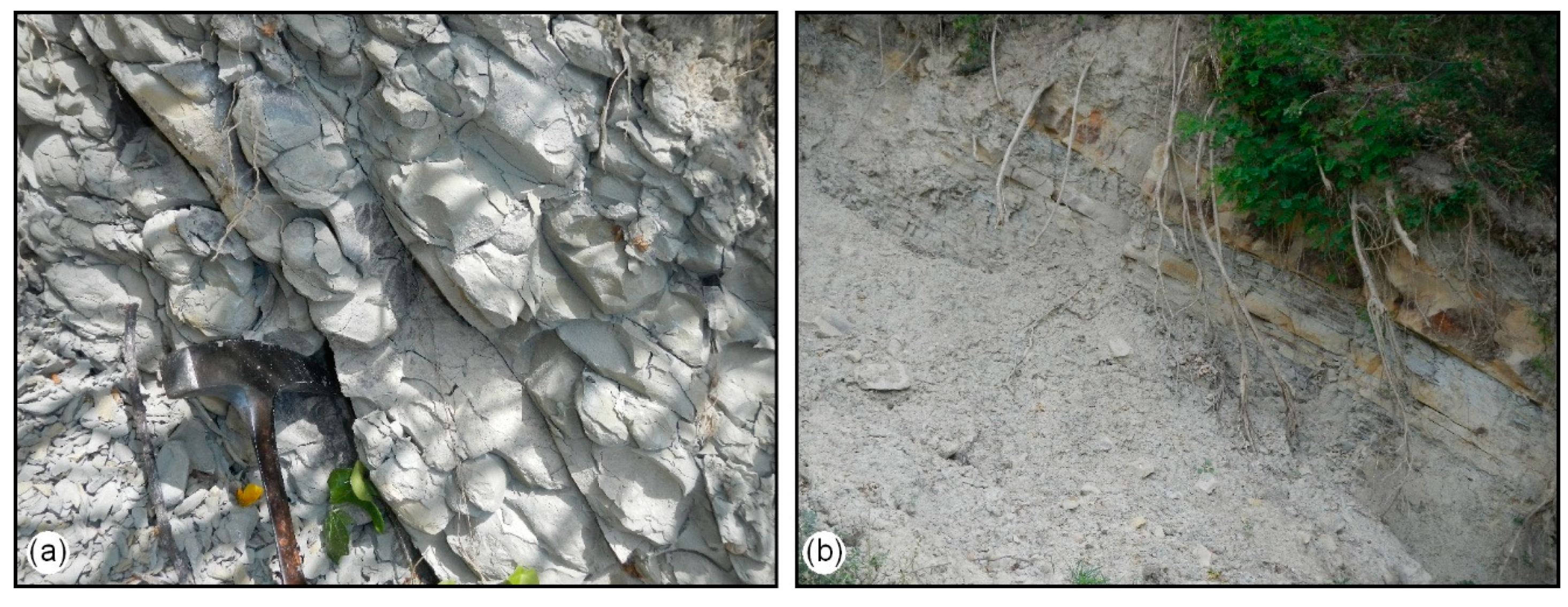 Geosciences 09 00122 g007 Geosciences 09 00122 g007