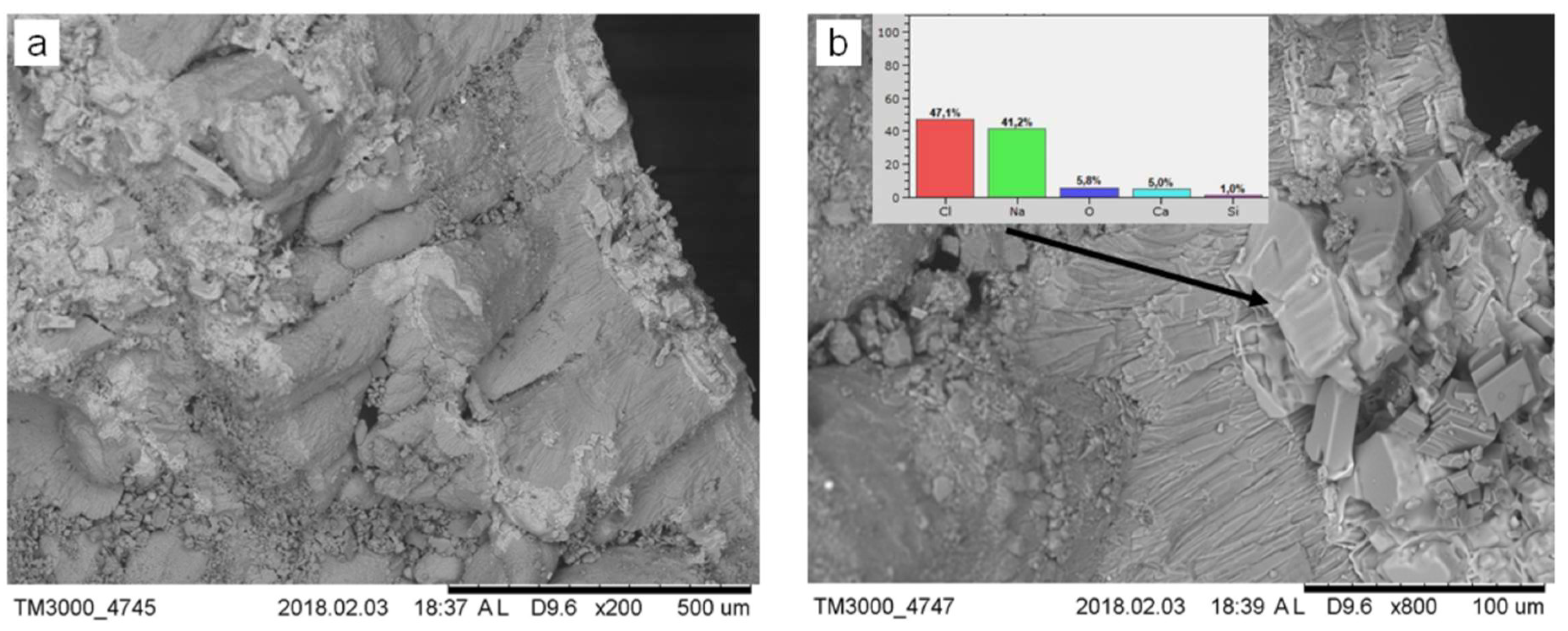 Geosciences 09 00128 g006