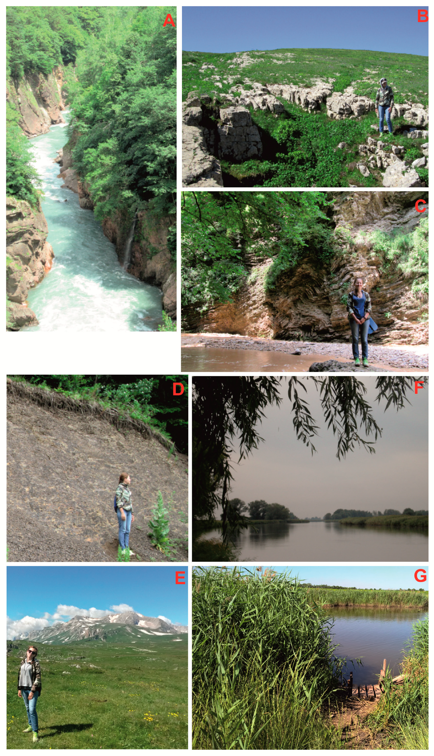 Geosciences 09 00146 g003 550