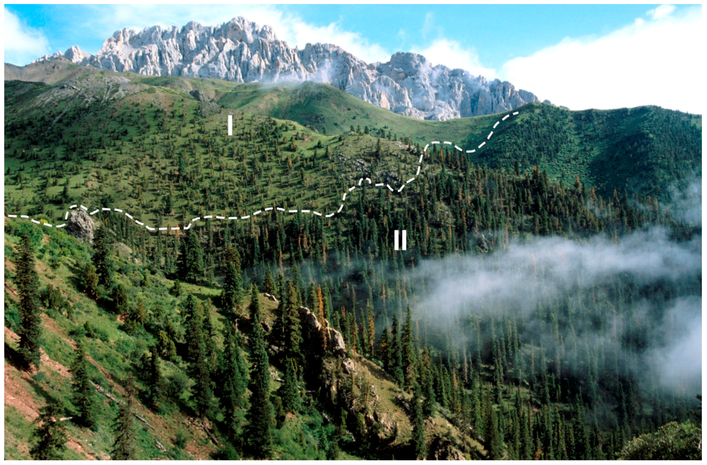 Geosciences 09 00151 g002