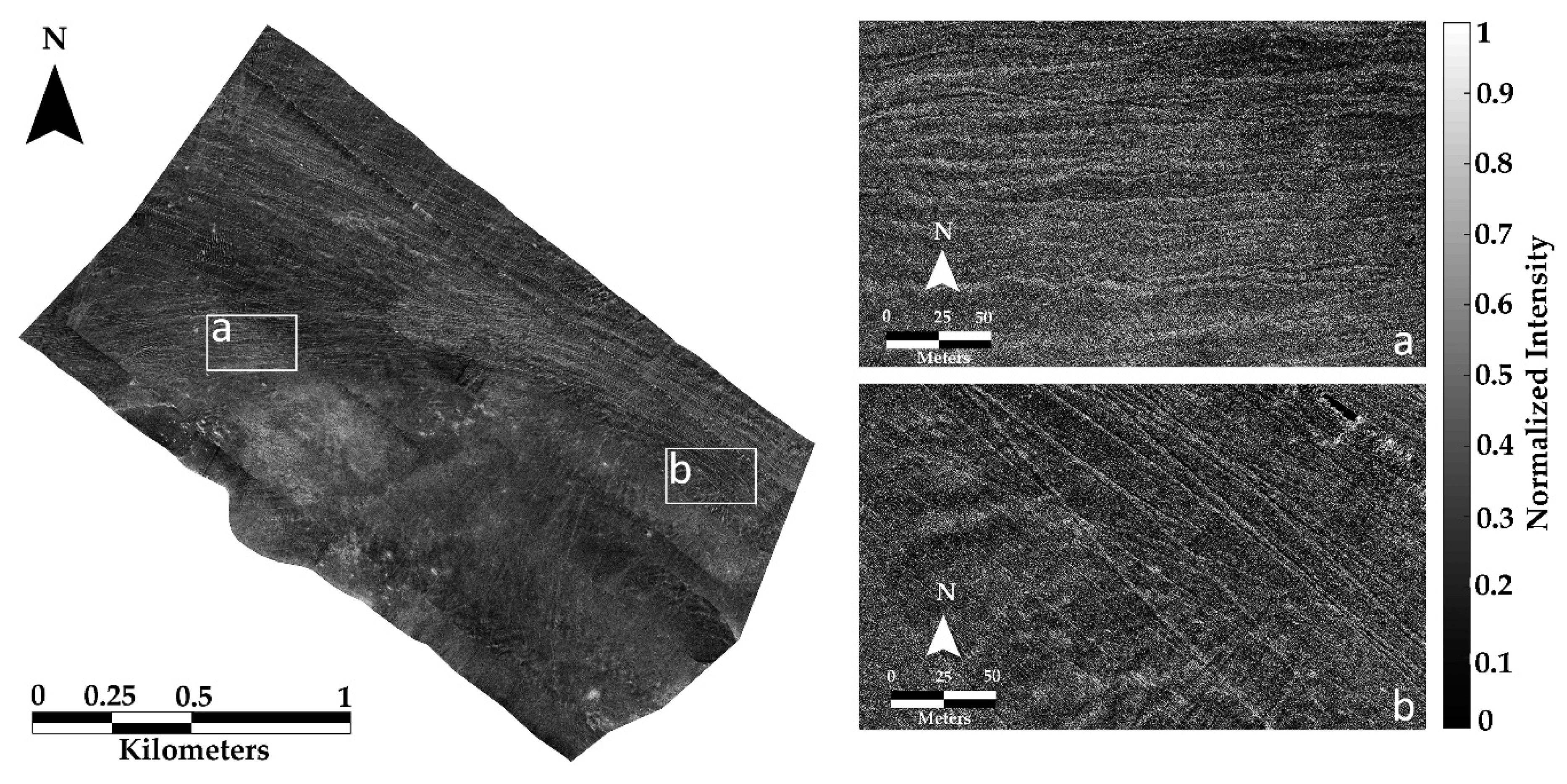 Geosciences 09 00214 g002