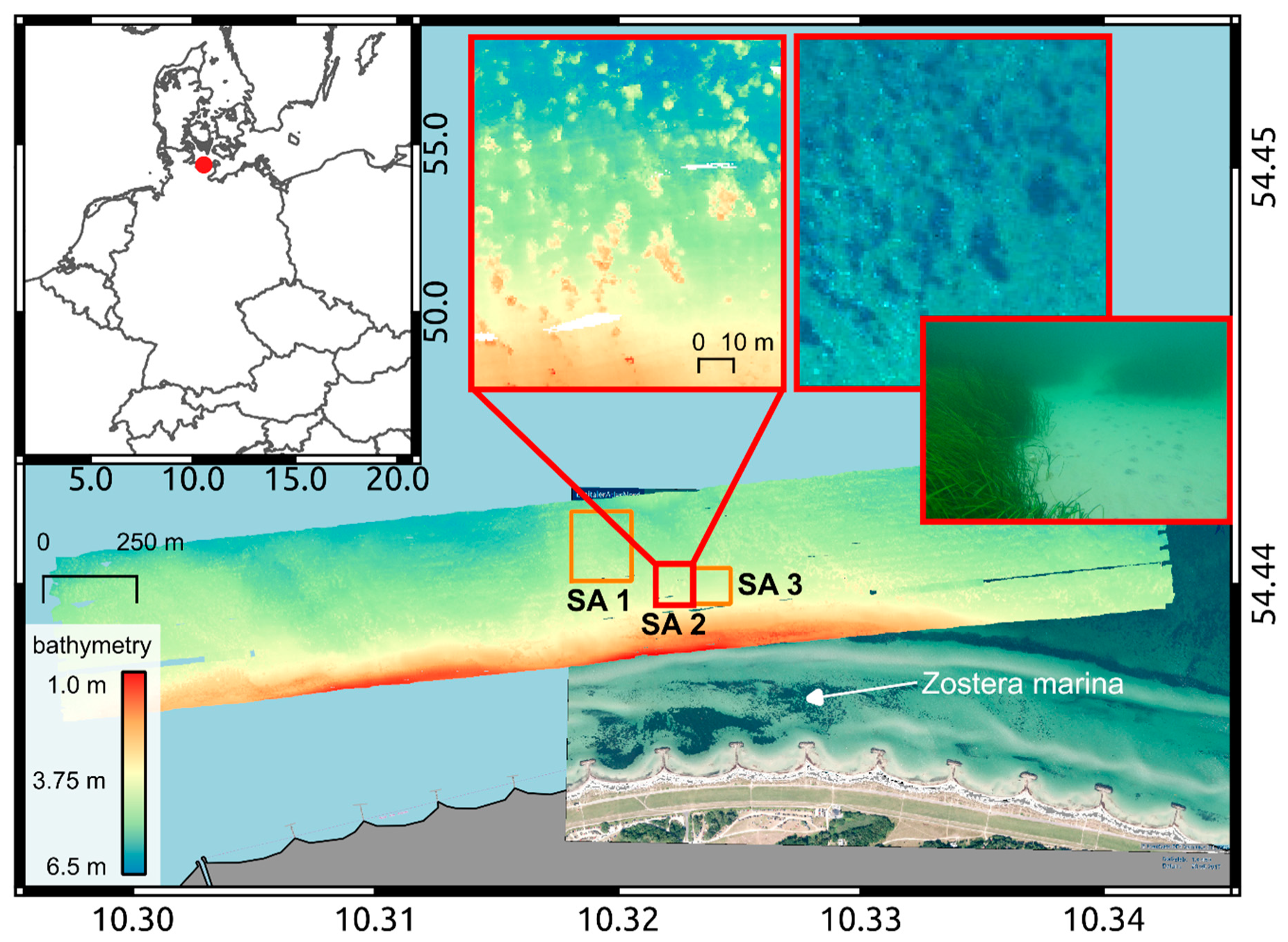 Seagrass Beds Appear On Navigational Charts In