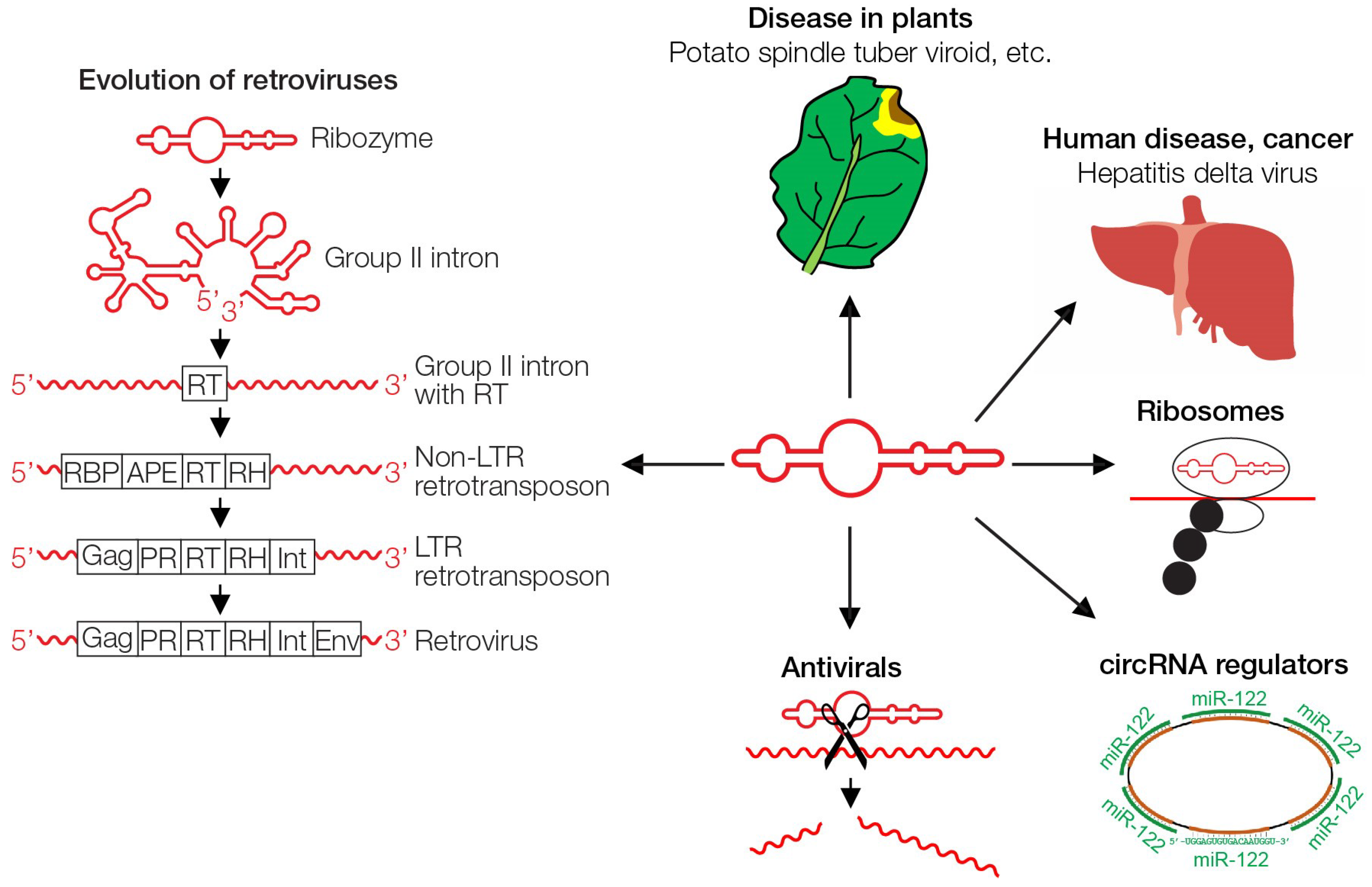 Geosciences 09 00241 g003 Geosciences 09 00241 g003