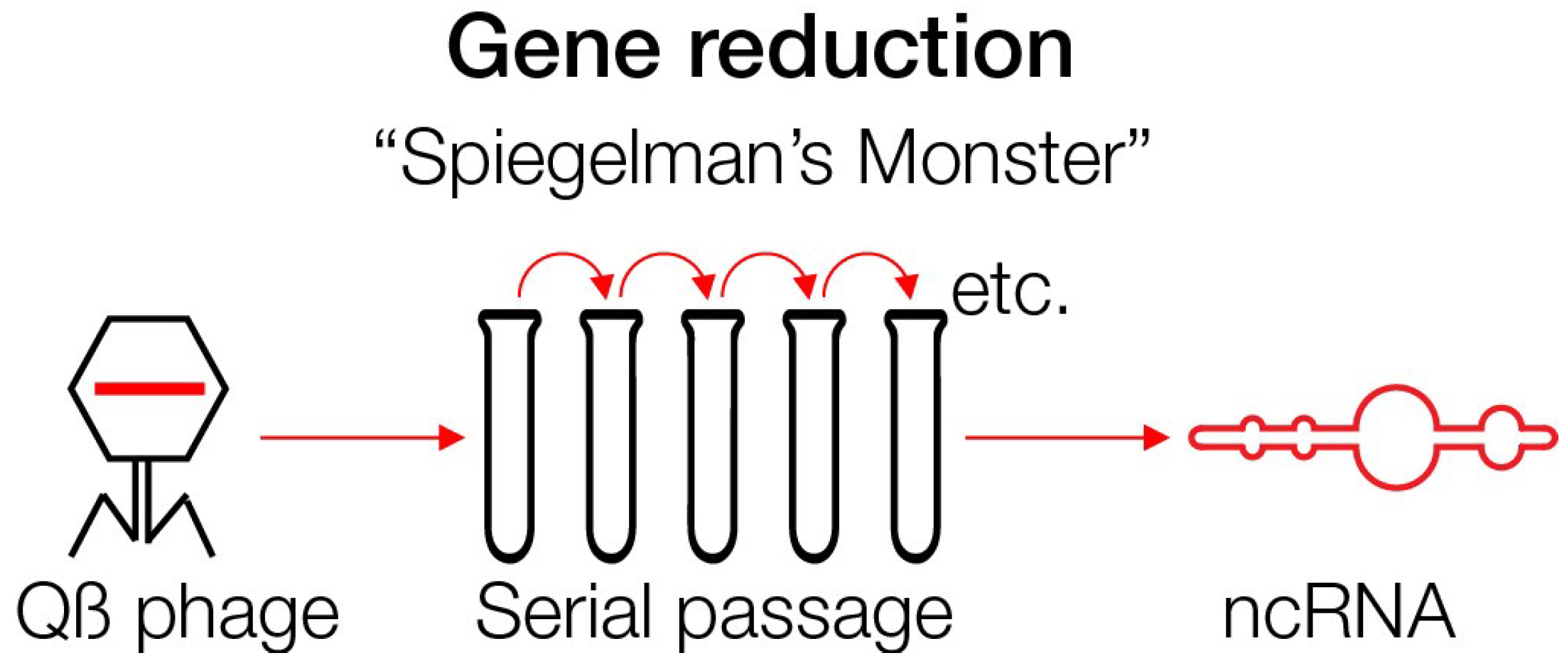 Geosciences 09 00241 g004 Geosciences 09 00241 g004