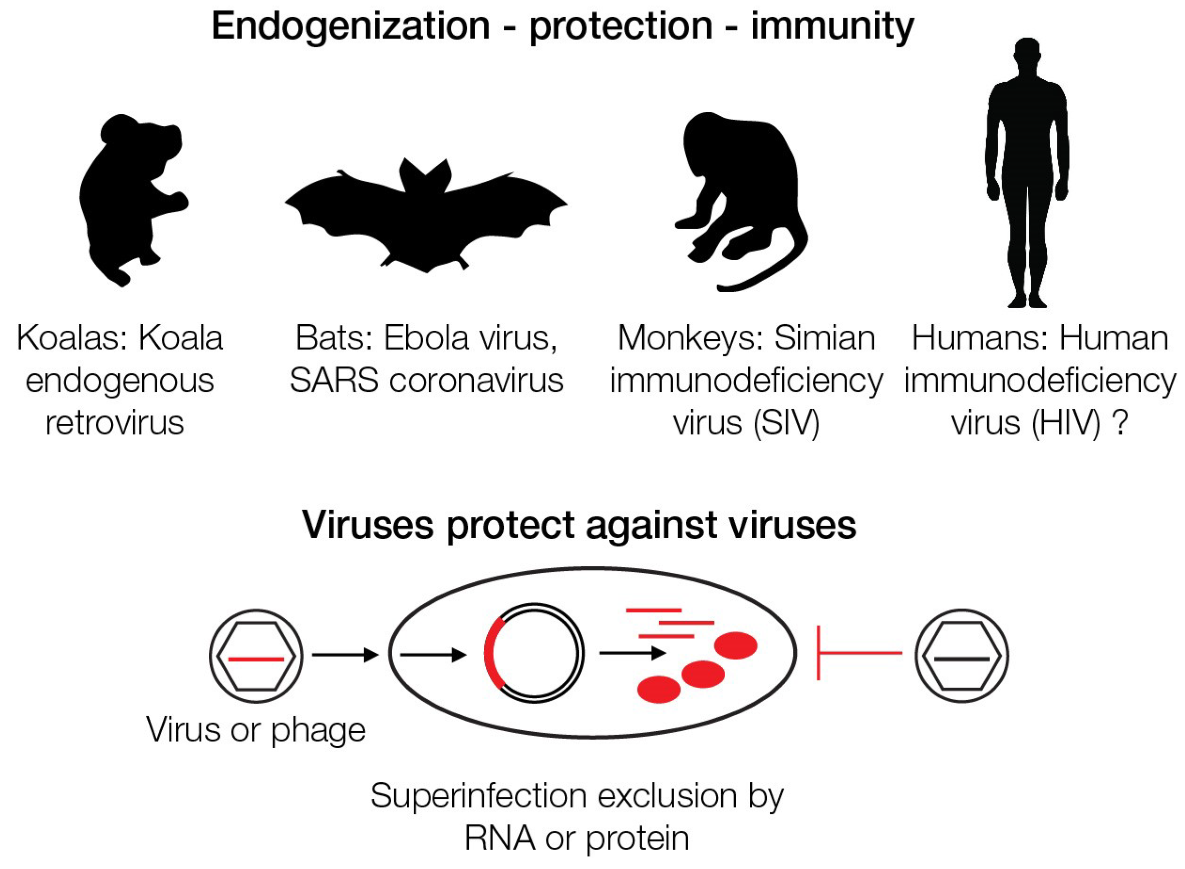 Geosciences 09 00241 g005 Geosciences 09 00241 g005