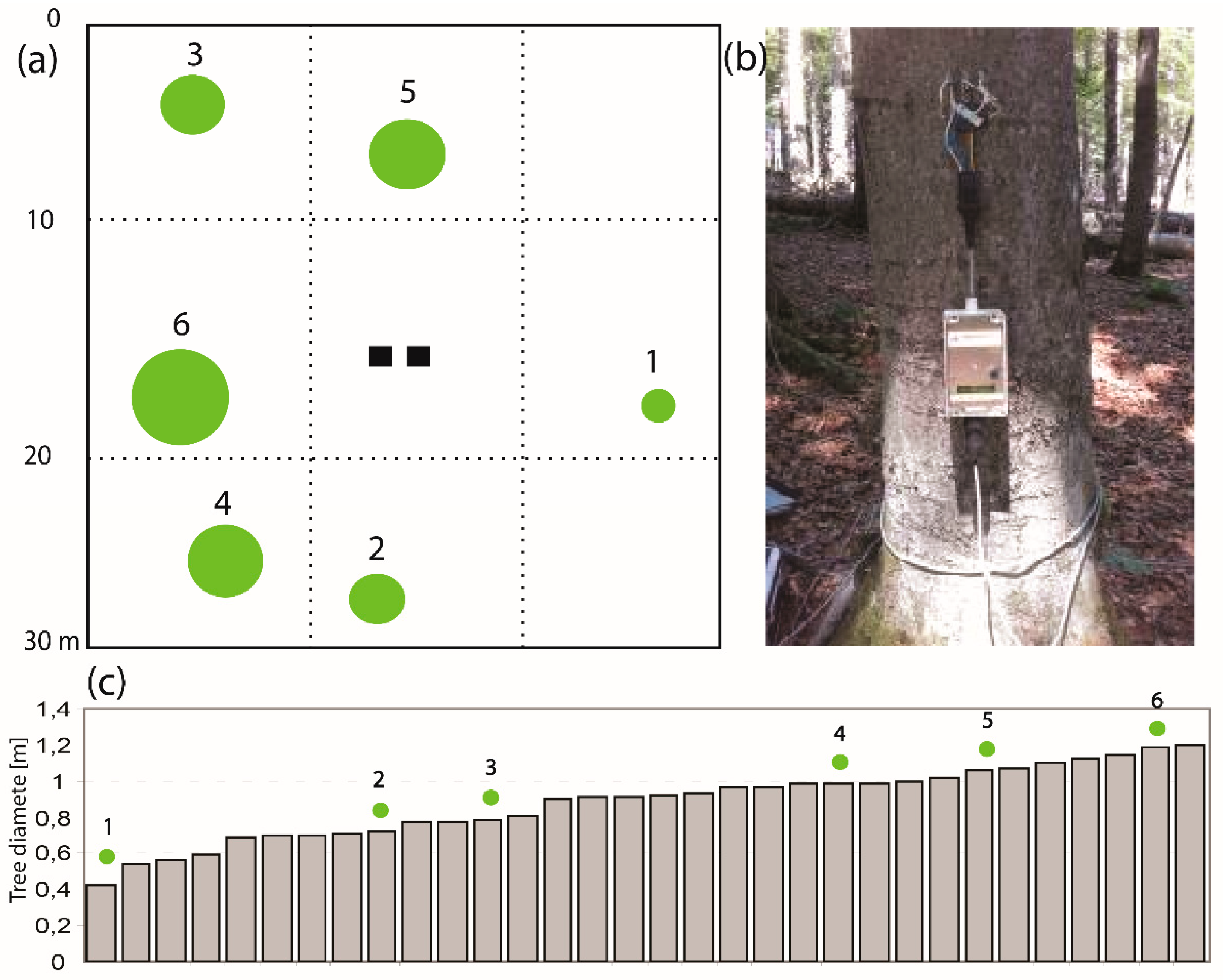 Geosciences 09 00243 g003 Geosciences 09 00243 g003