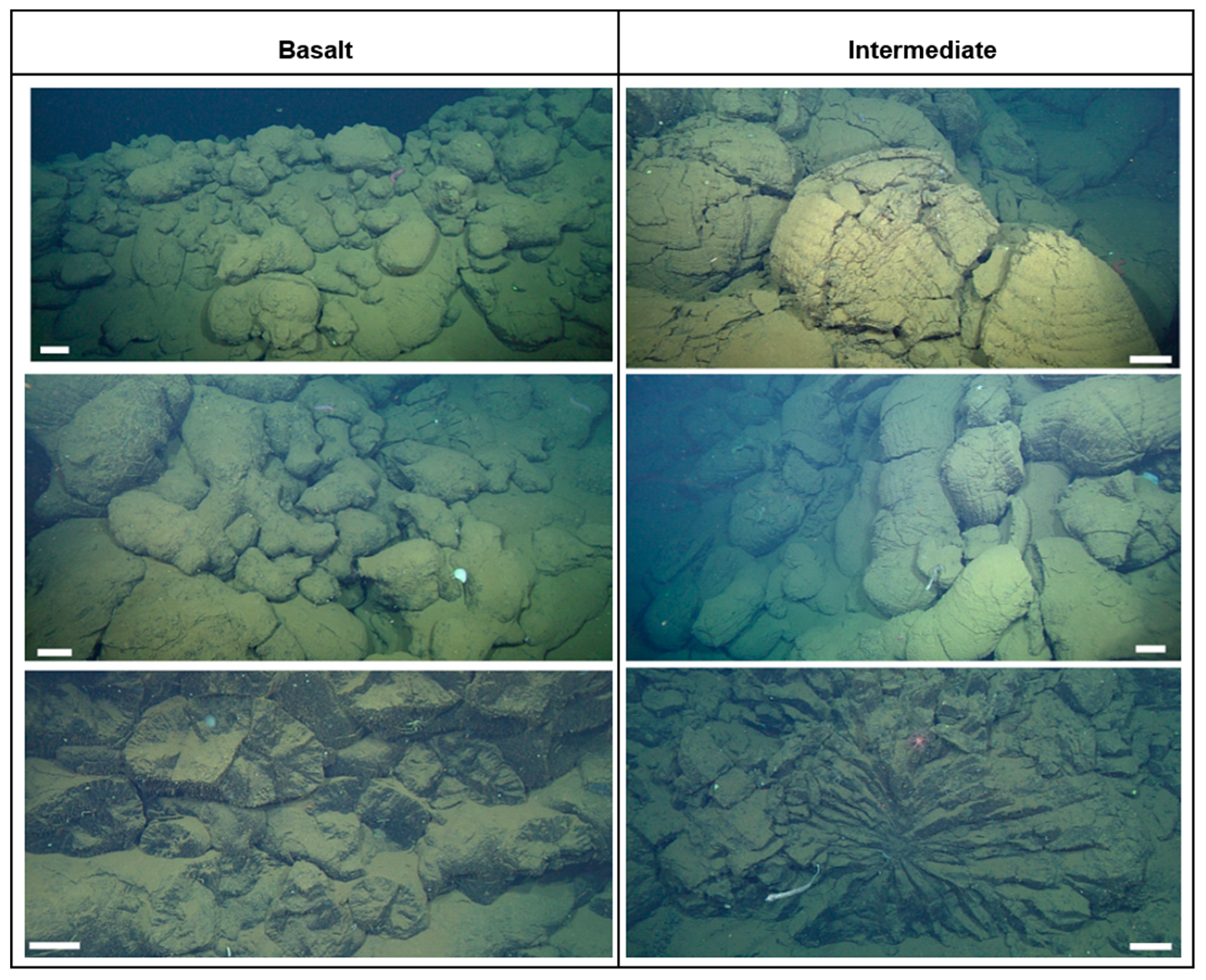 Geosciences 09 00245 g002 Geosciences 09 00245 g002