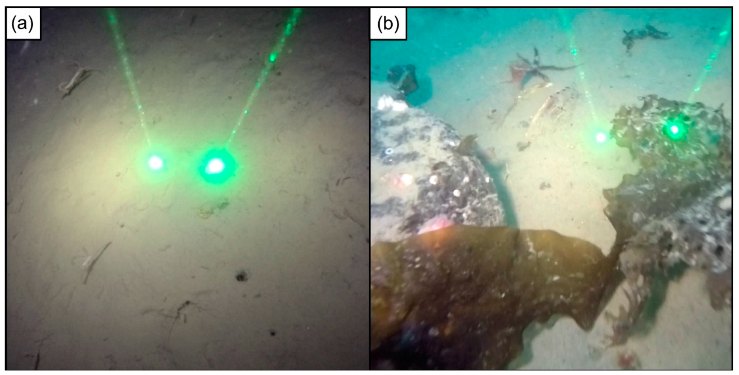 Geosciences 09 00254 g007