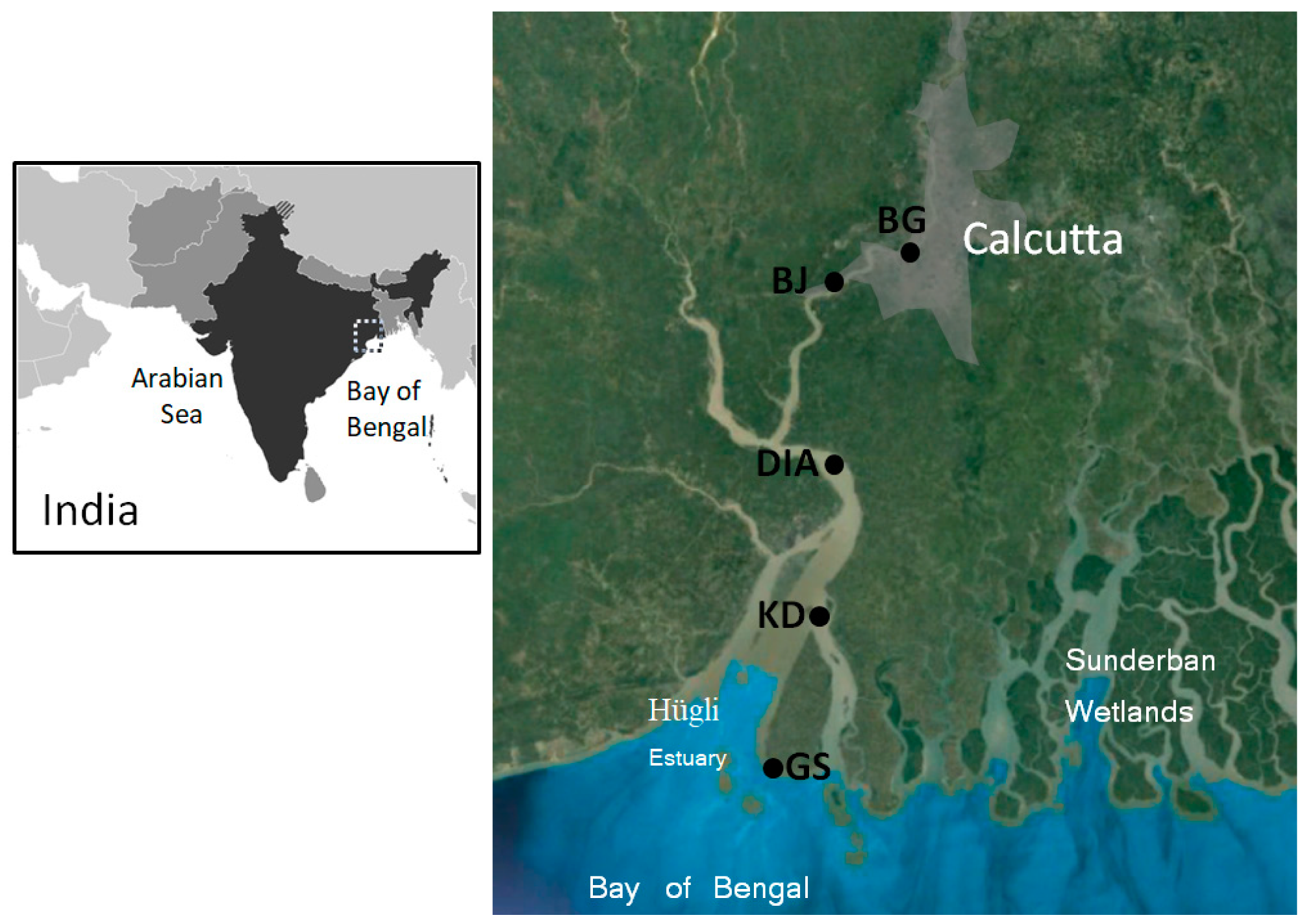 Geosciences 09 00260 g001