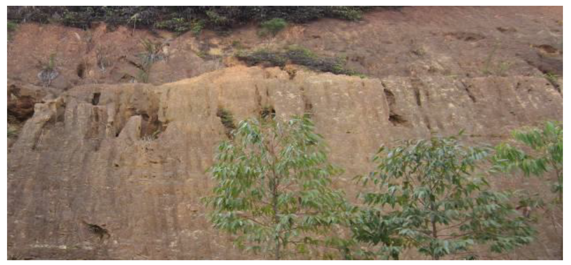 Geosciences 09 00273 g009