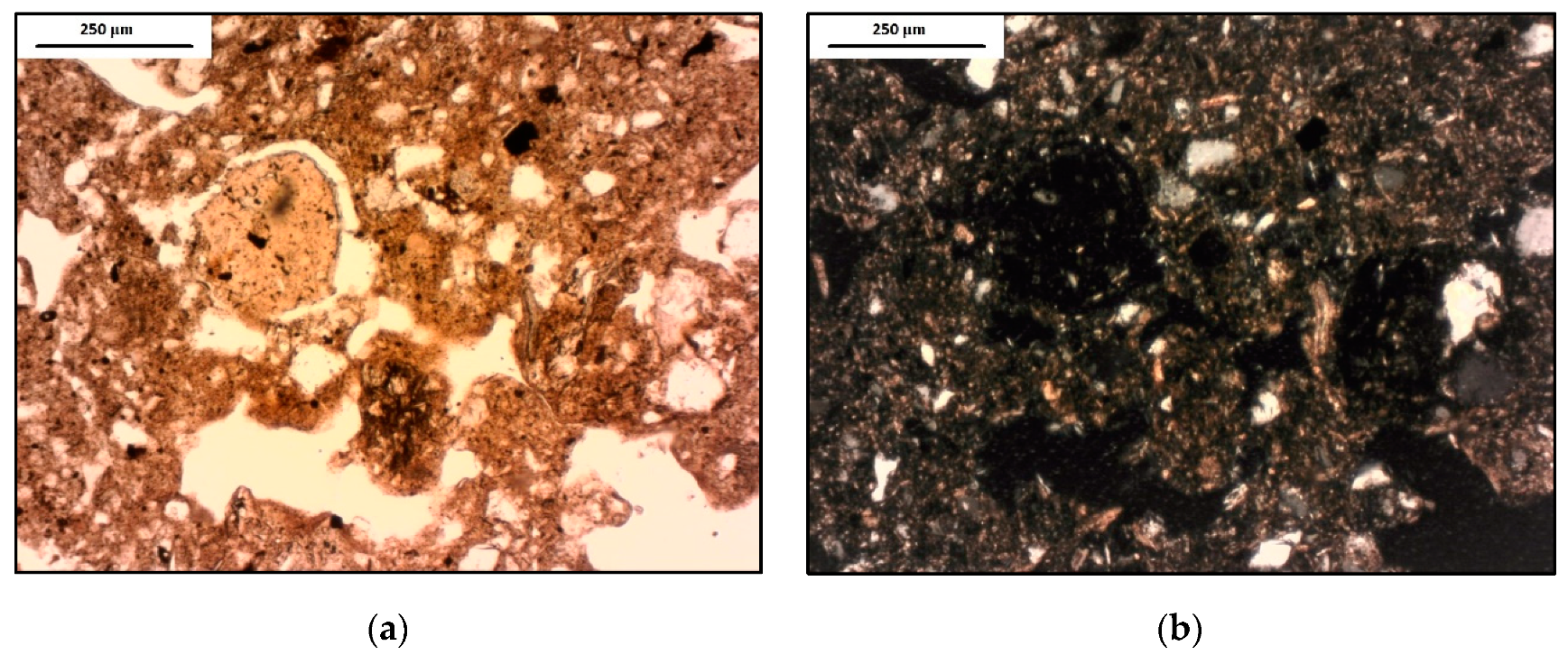 Geosciences 09 00276 g006a