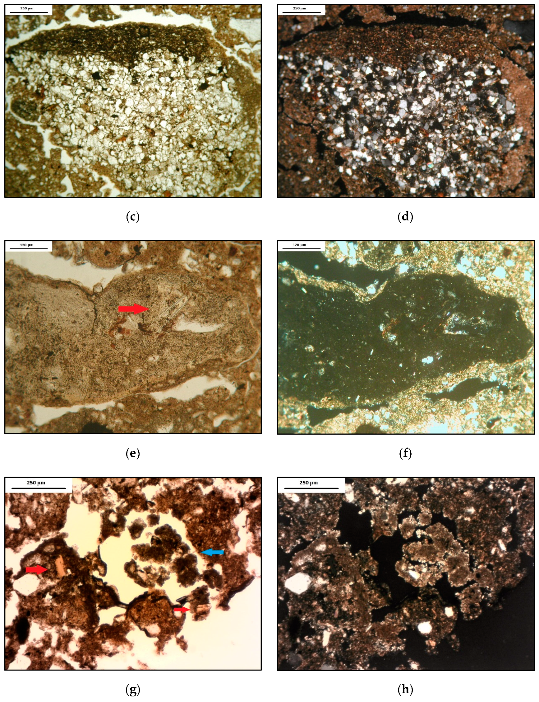 Geosciences 09 00276 g006b