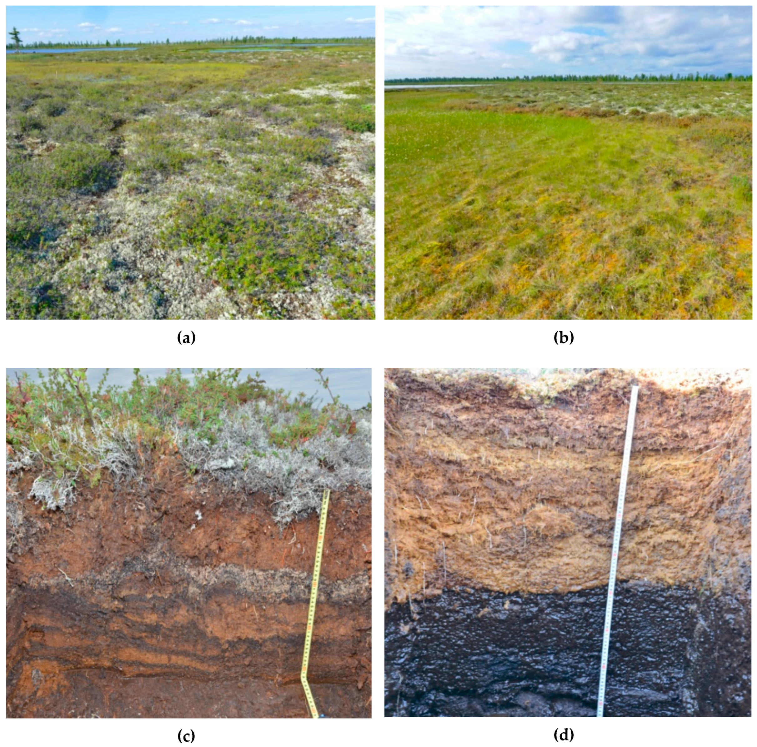 Geosciences 09 00291 g003 Geosciences 09 00291 g003