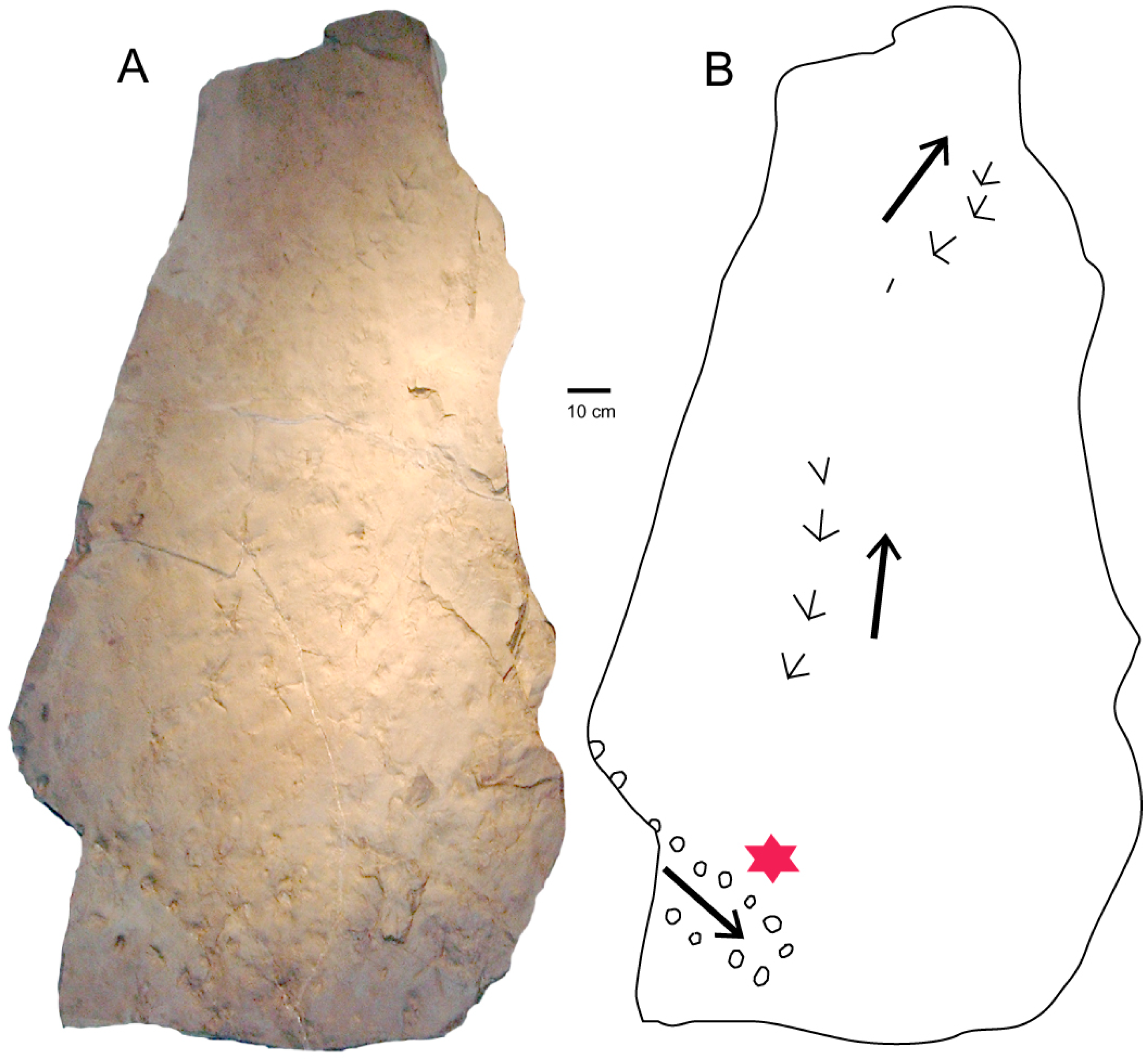 Geosciences 09 00321 g006 Geosciences 09 00321 g006