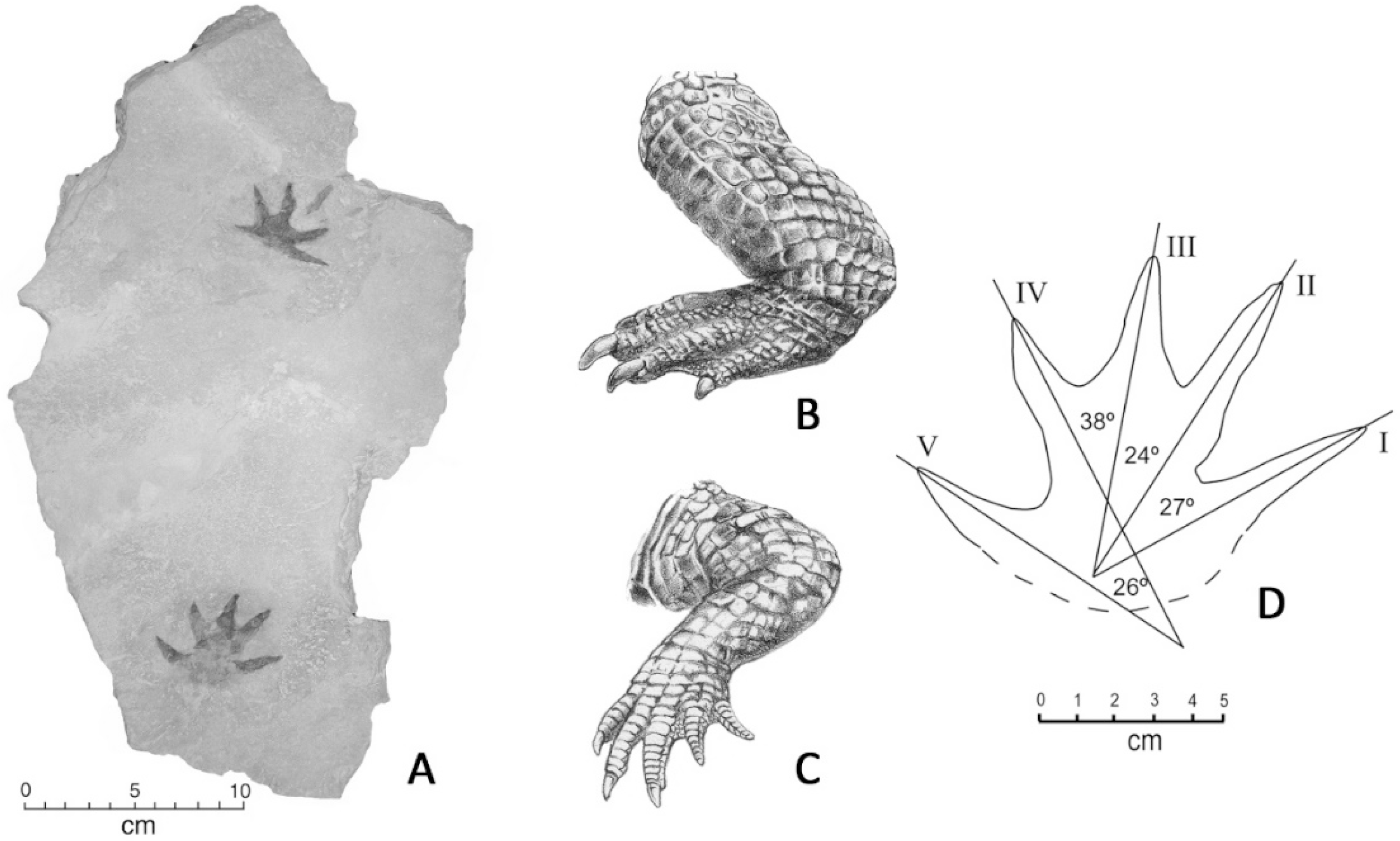 Geosciences 09 00321 g009 Geosciences 09 00321 g009
