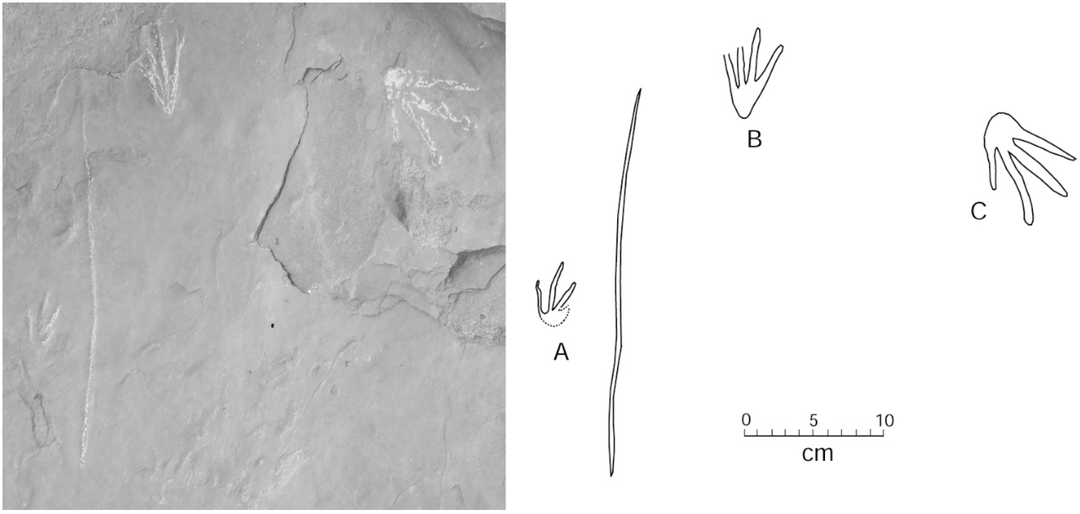 Geosciences 09 00321 g011 Geosciences 09 00321 g011