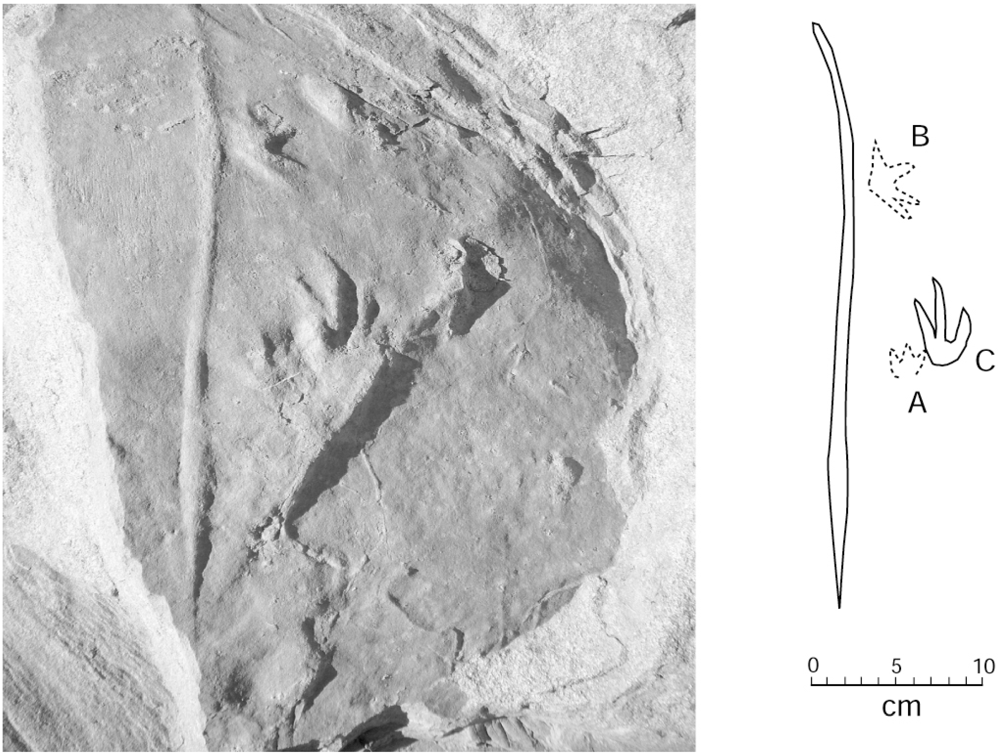 Geosciences 09 00321 g012 Geosciences 09 00321 g012