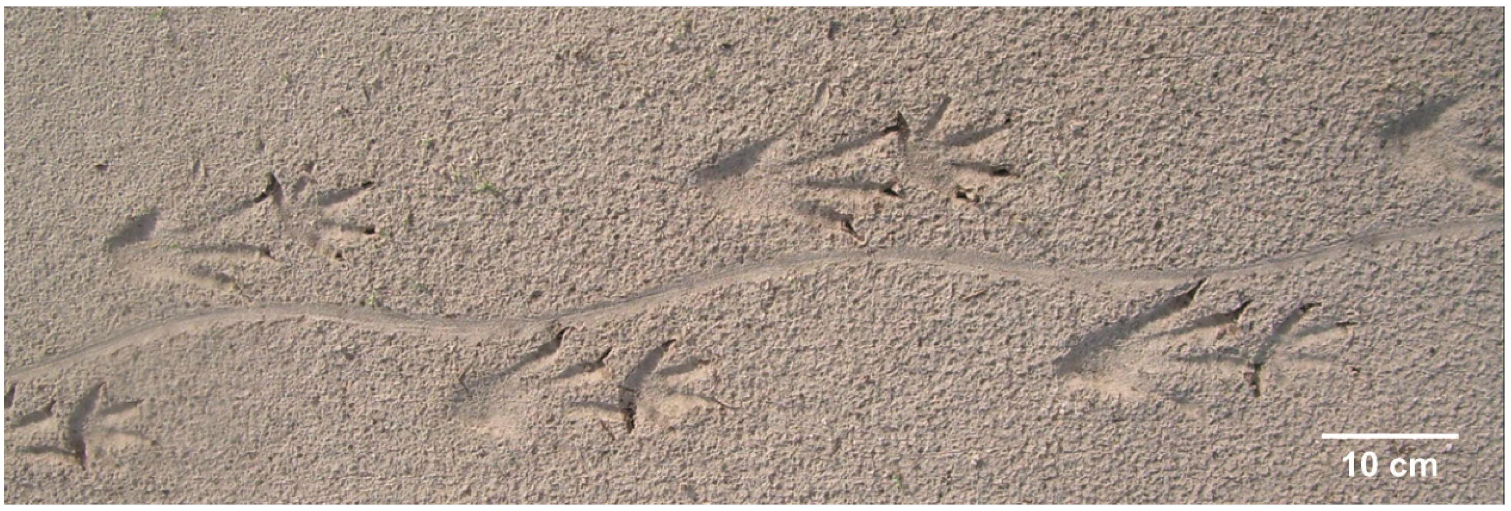 Geosciences 09 00321 g013 Geosciences 09 00321 g013