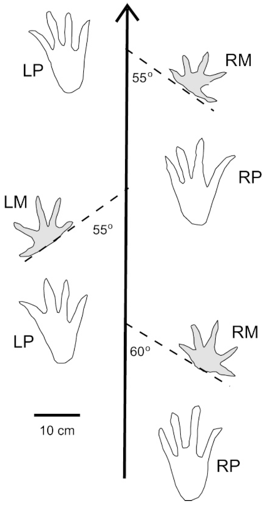 Geosciences 09 00321 g014 Geosciences 09 00321 g014