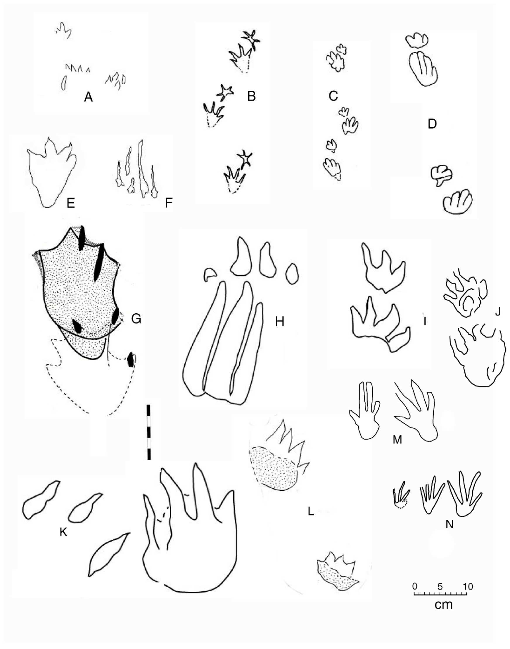 Geosciences 09 00321 g017 Geosciences 09 00321 g017